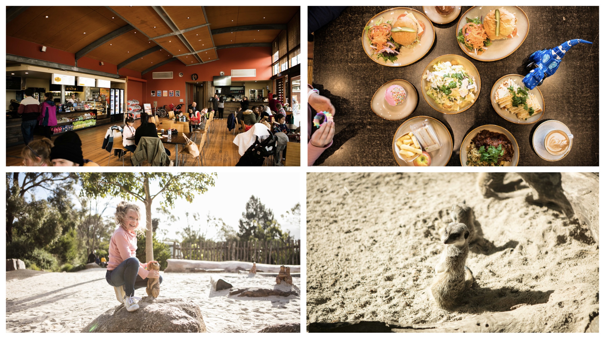 meerkat bistro and meerkat mayhem playspace, werribee open range zoo