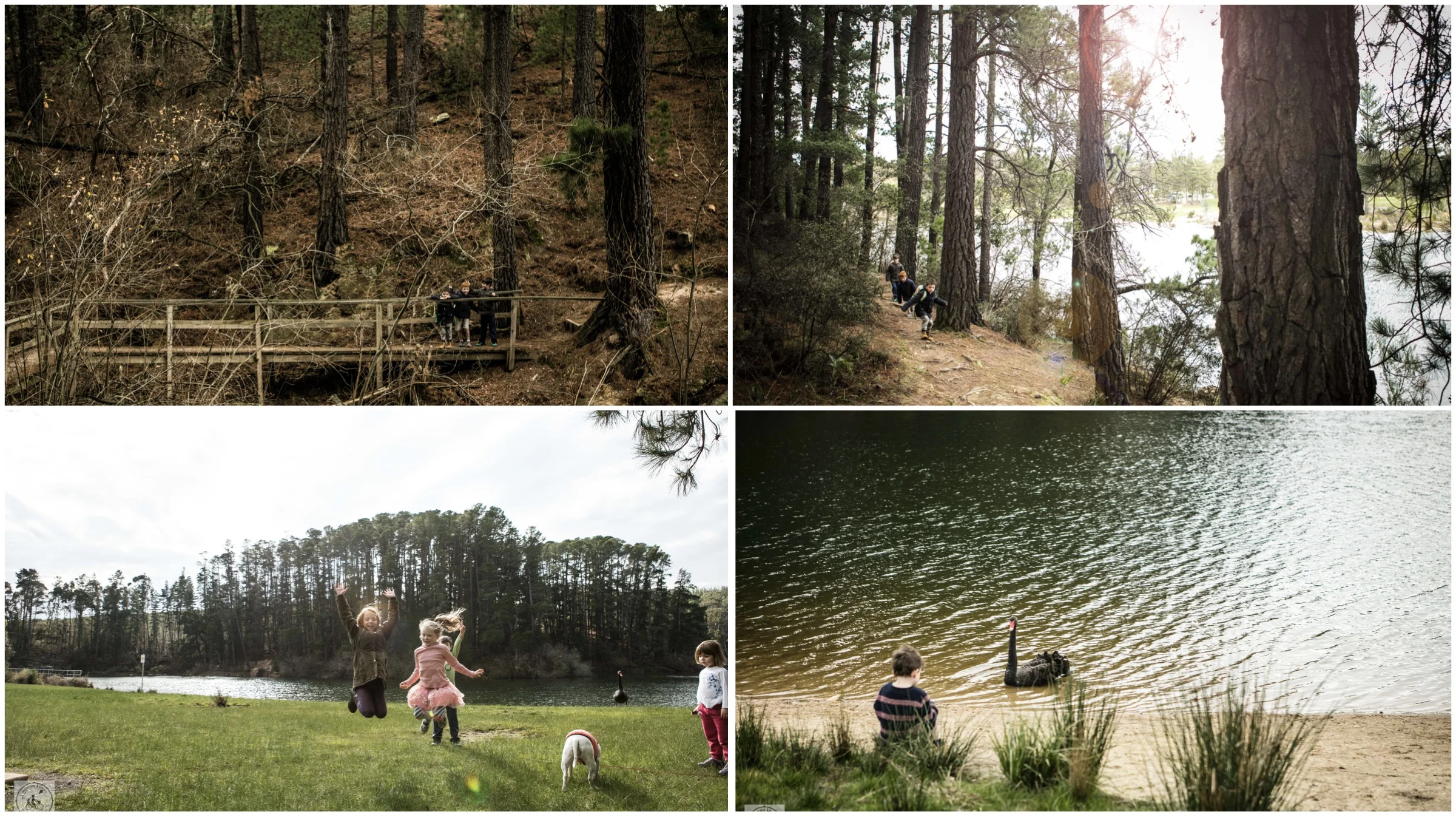 st georges lake, creswick