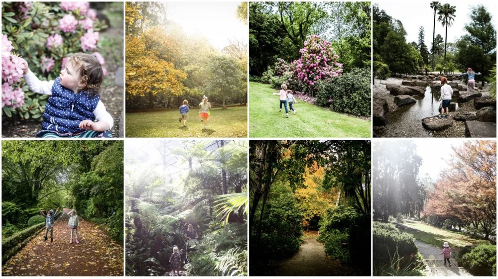 mamma's top gardens to visit in melbourne