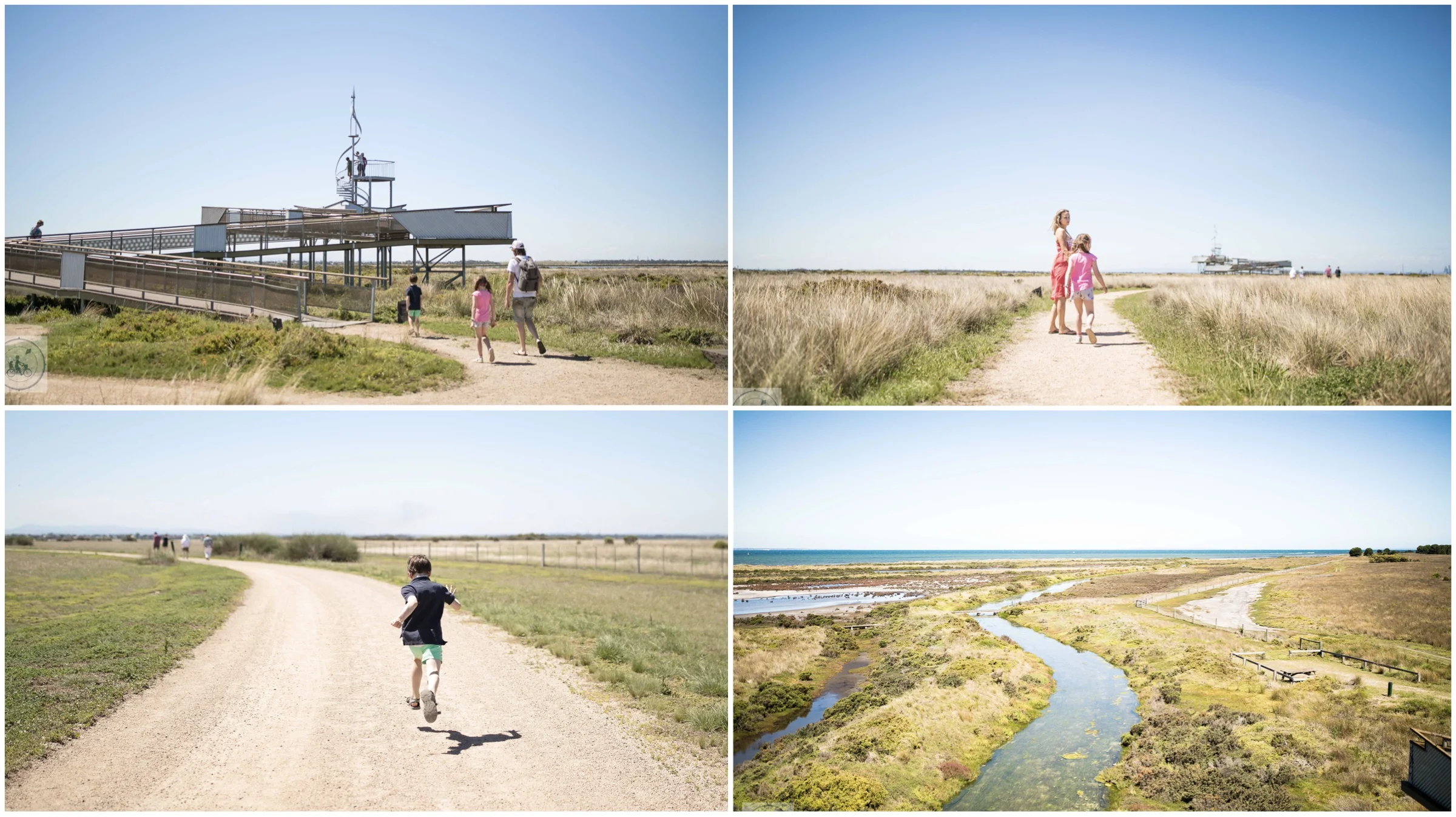 cheetham wetlands viewing tower, point cook