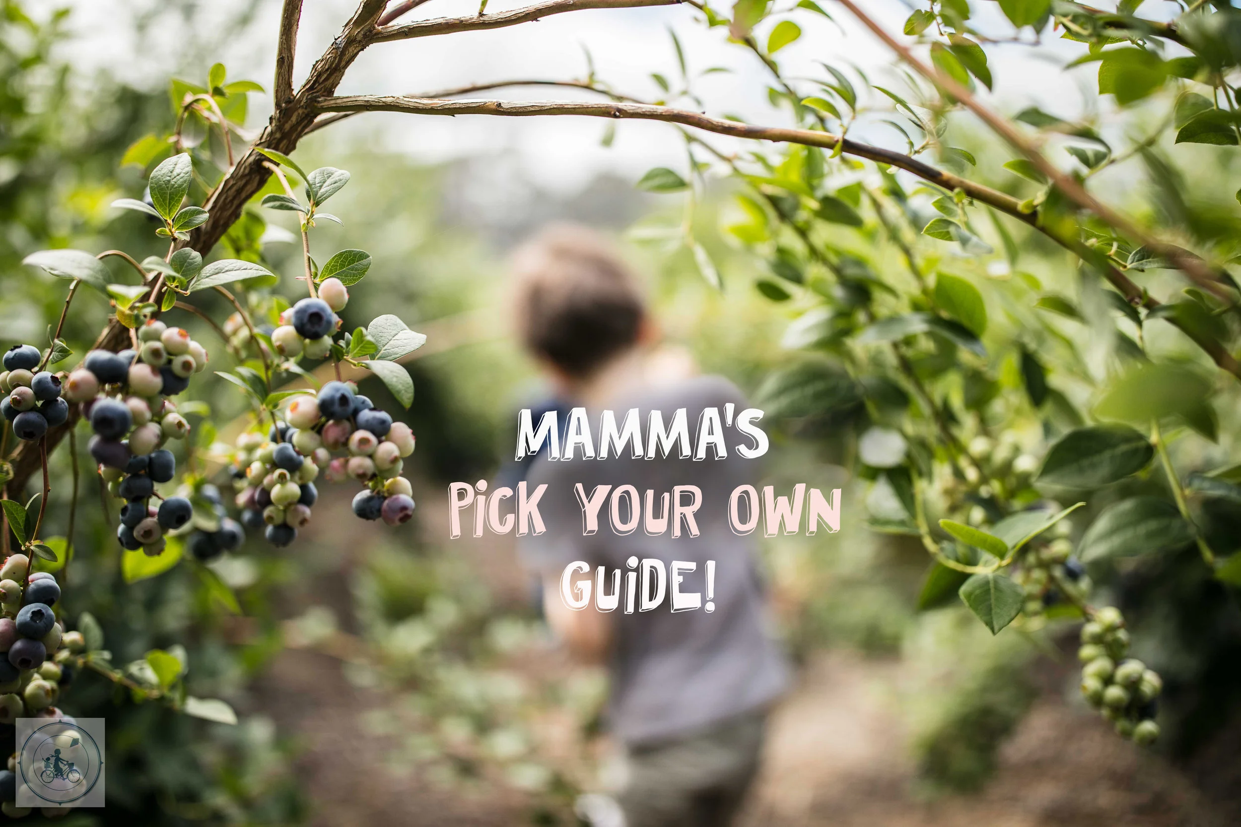 mamma's melbourne wide - pick your own - guide!