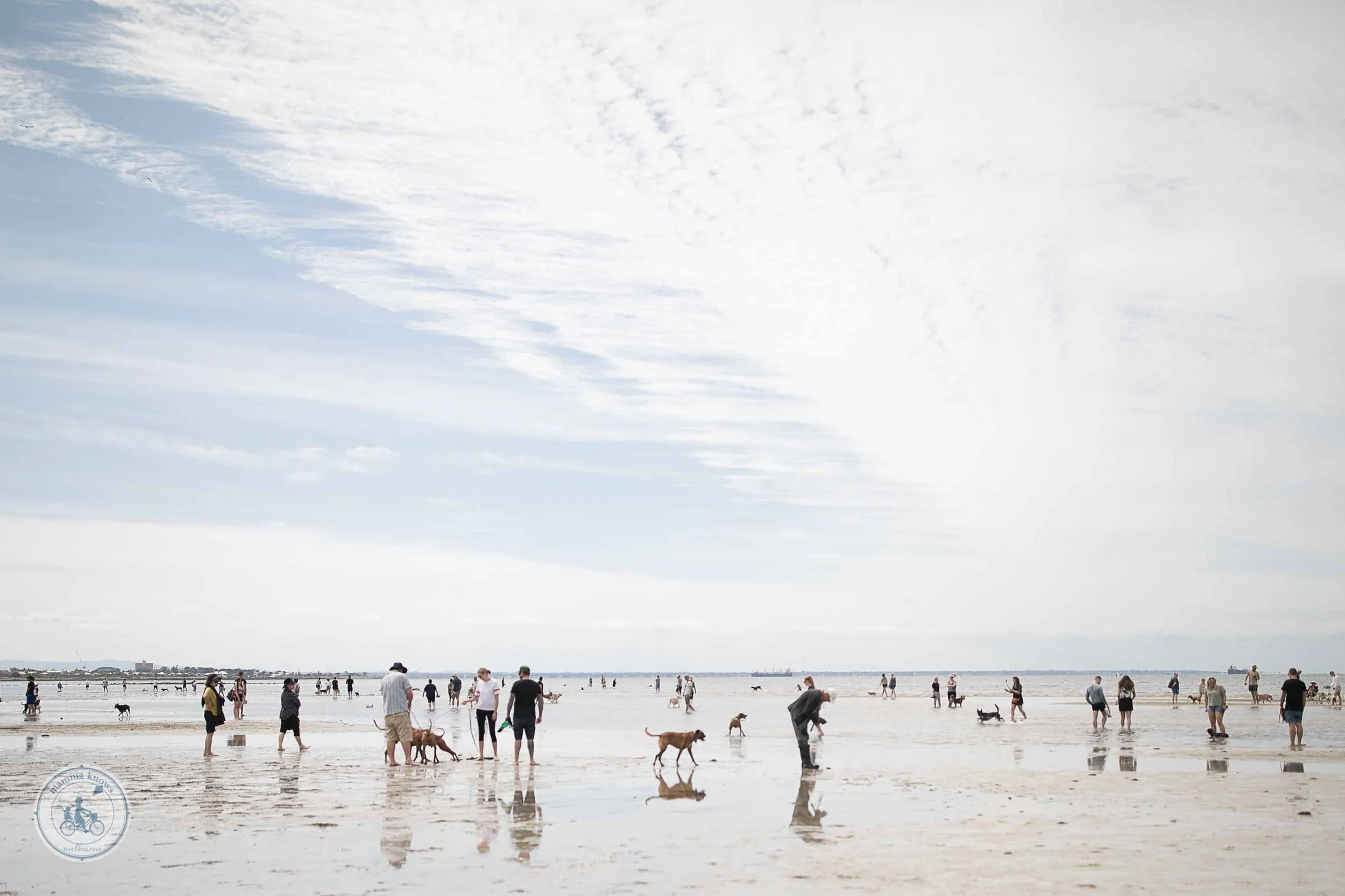 altona dog beach, altona