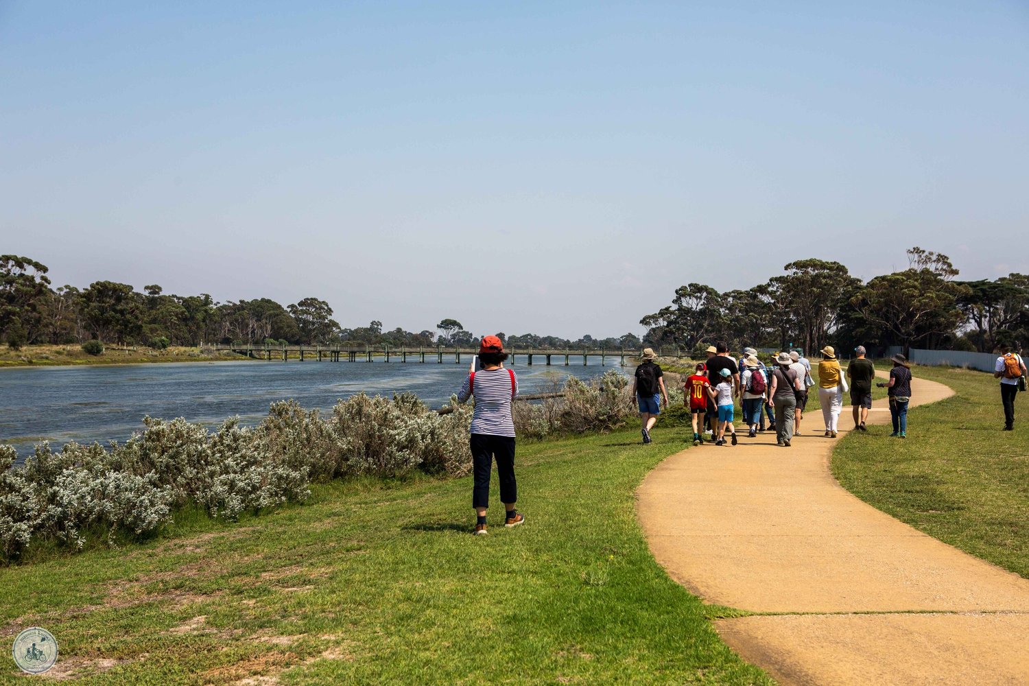 hobsons bay wetlands