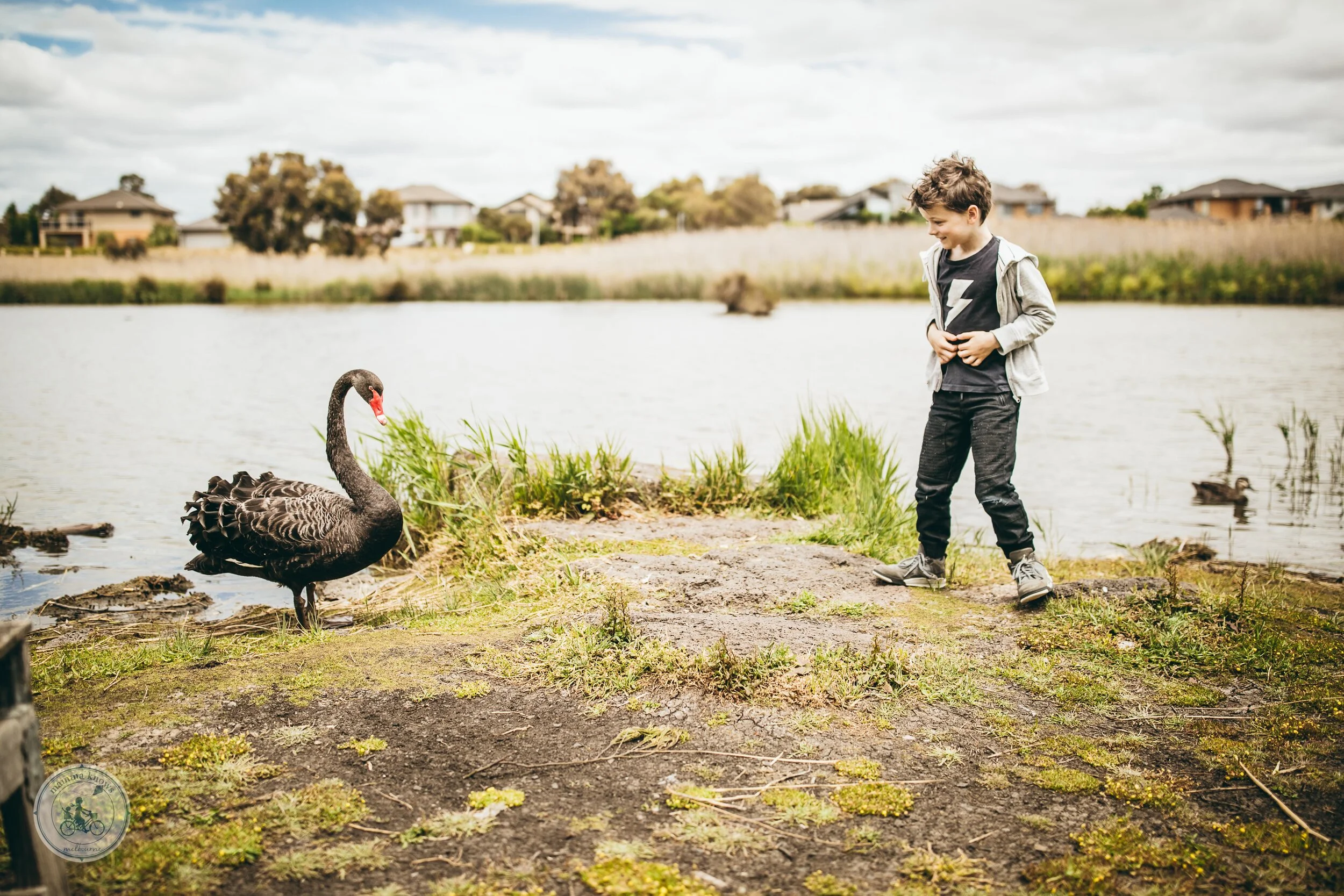 hobsons bay wetlands, altona 