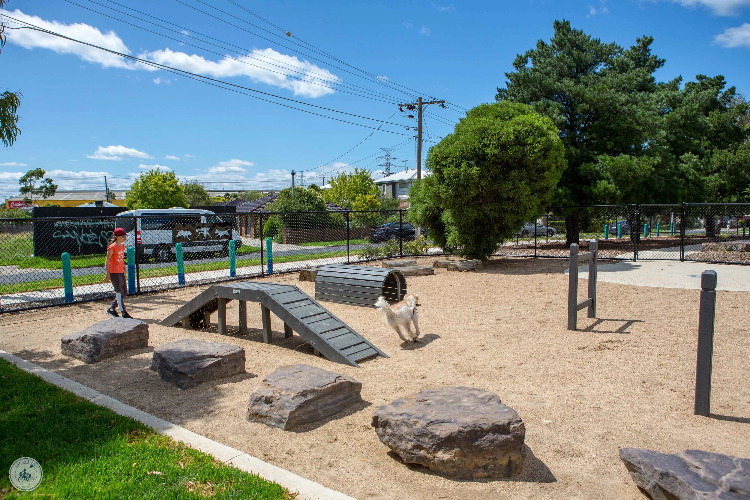 brooklyn dog park, brooklyn