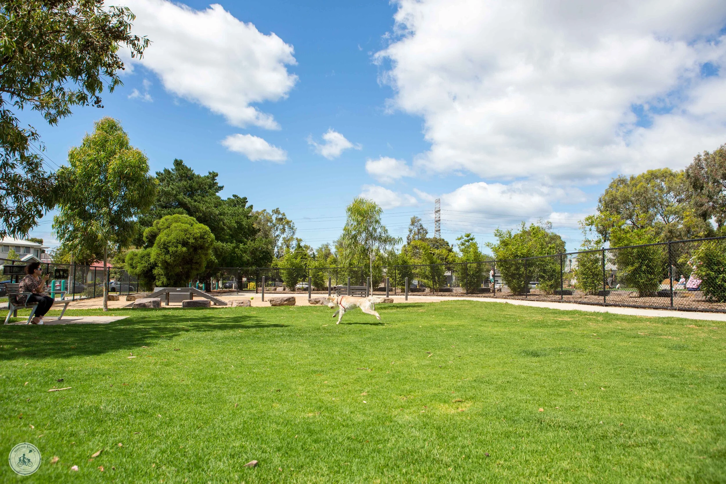 brooklyn dog park, brooklyn