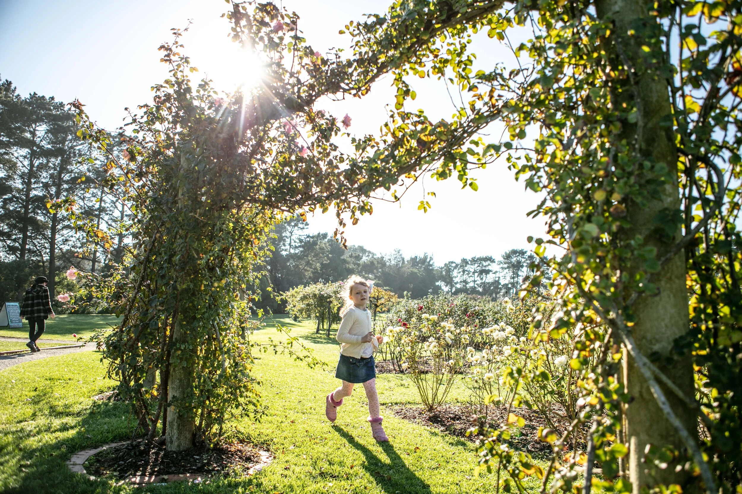 the state rose garden, werribee south