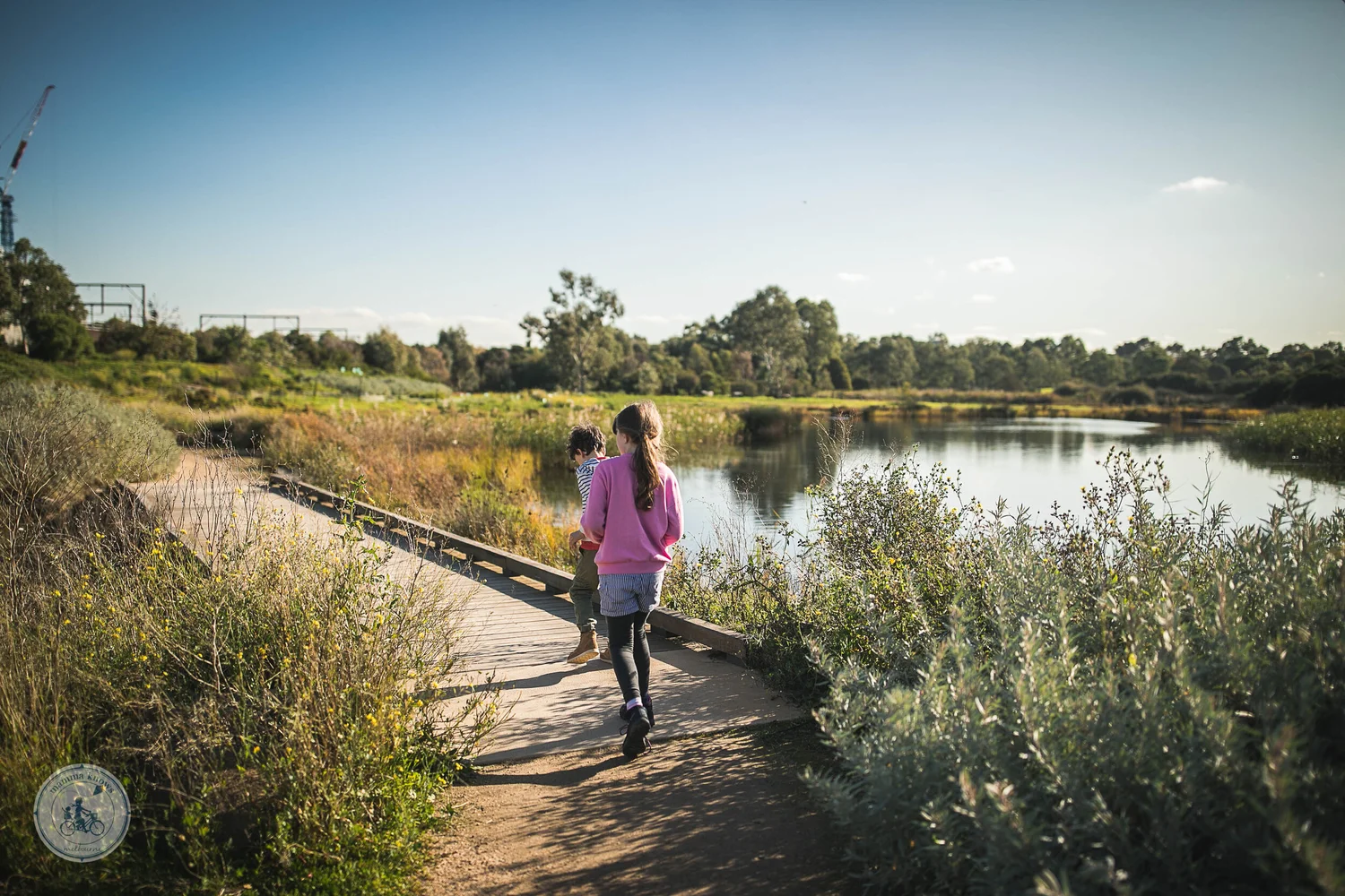 newell's paddock conservation reserve