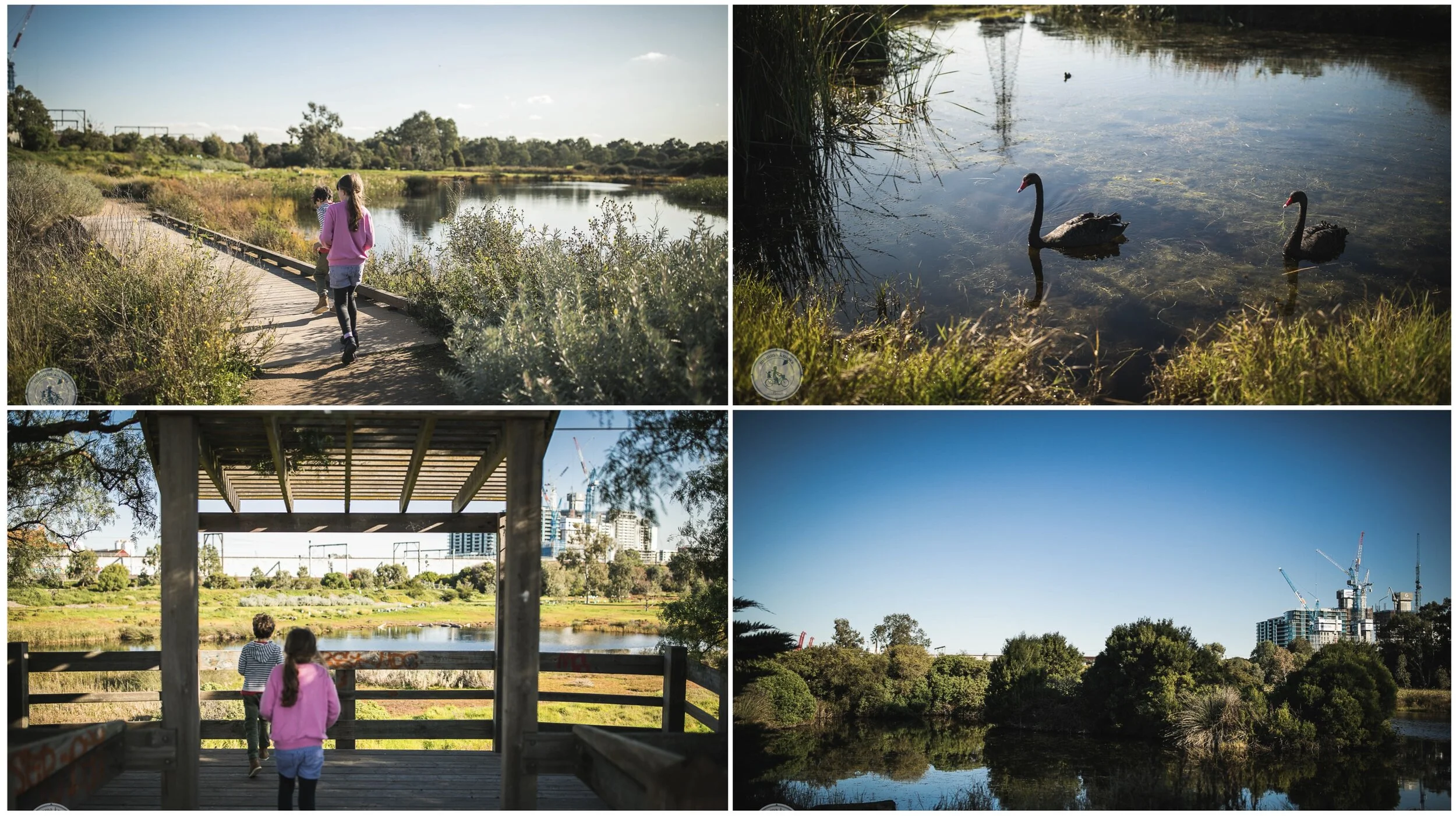 newell's paddock conservation reserve, footscray