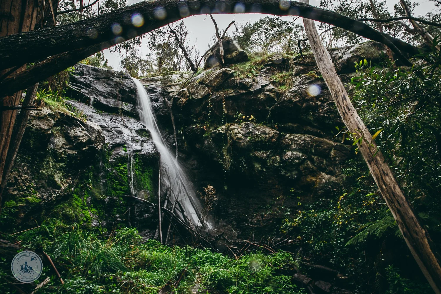 stanley park waterfall