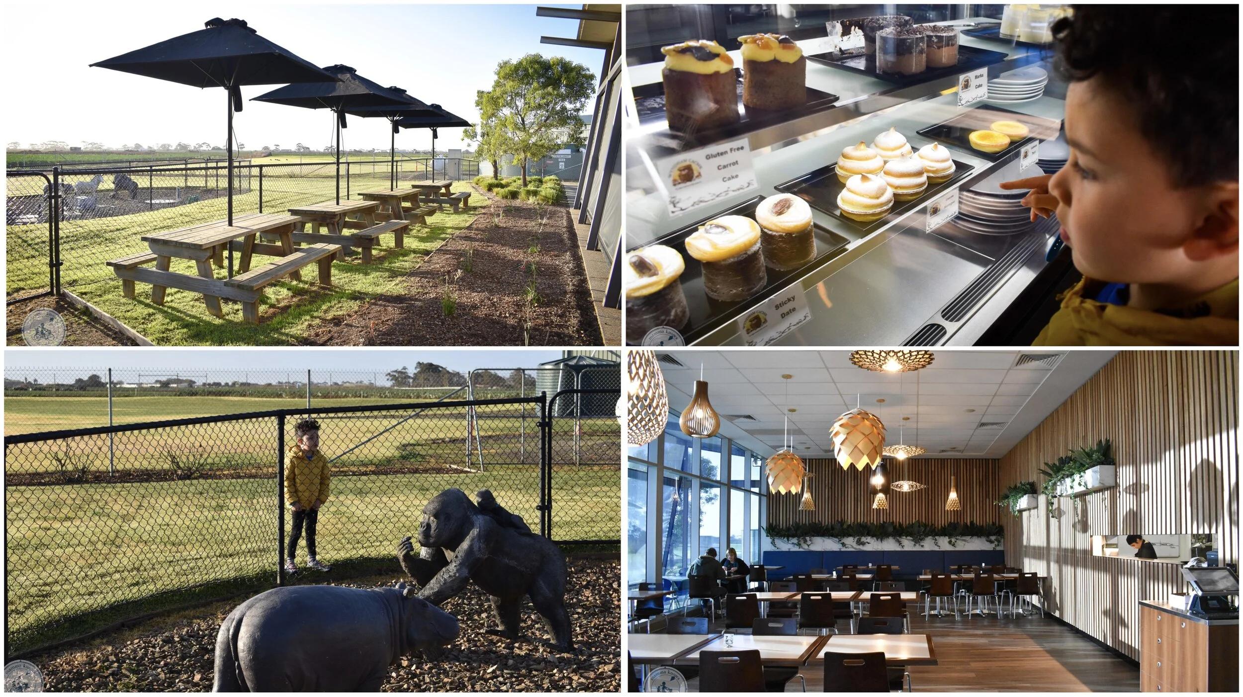 wyndham cache, werribee