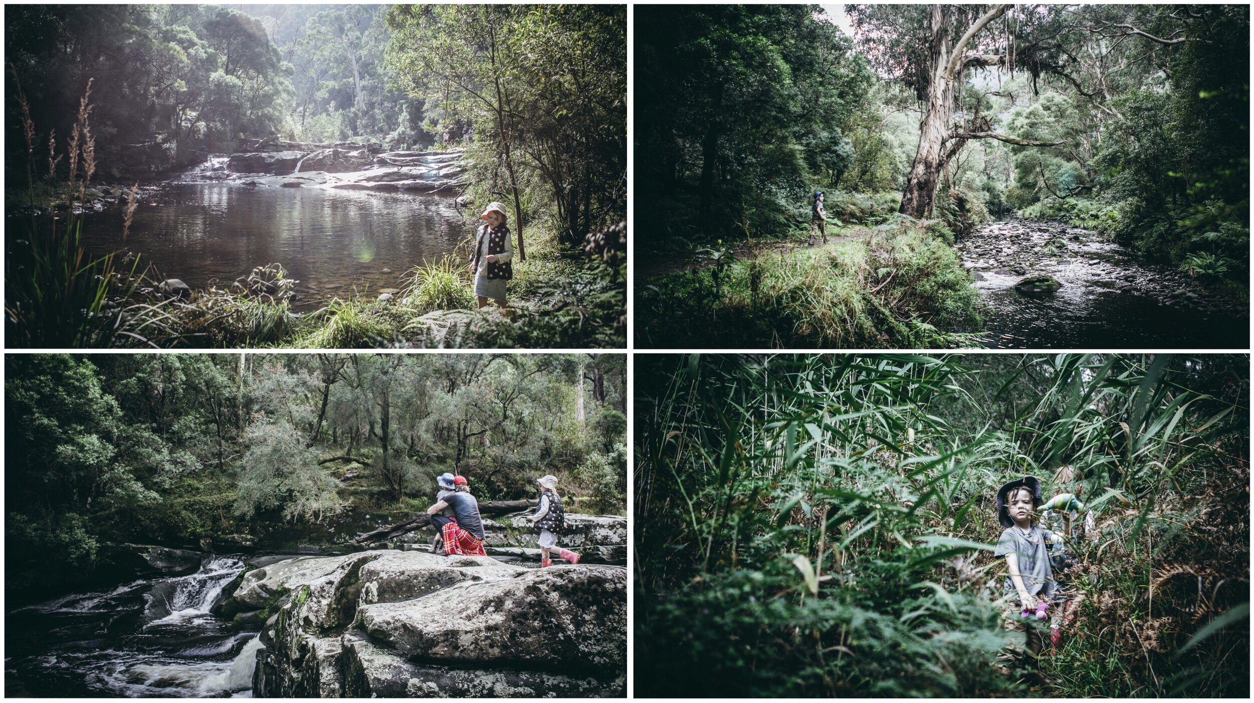 jebbs pool, cumberland river