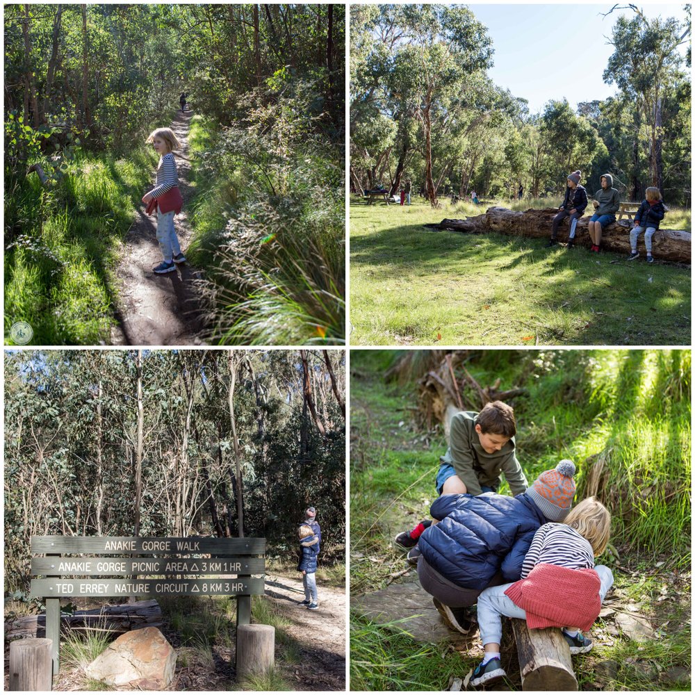 brisbane ranges - anakie gorge walk