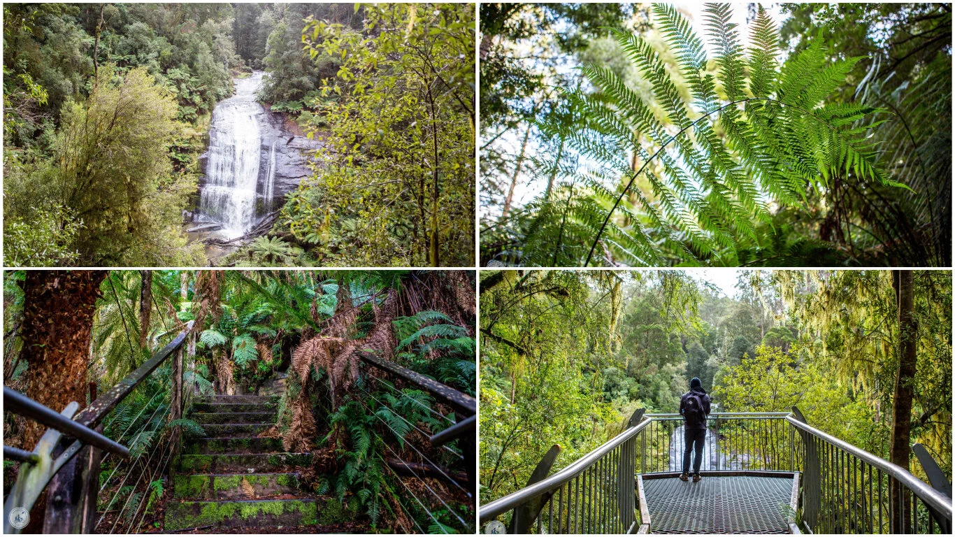 triplet falls and little aire falls, wyelangta