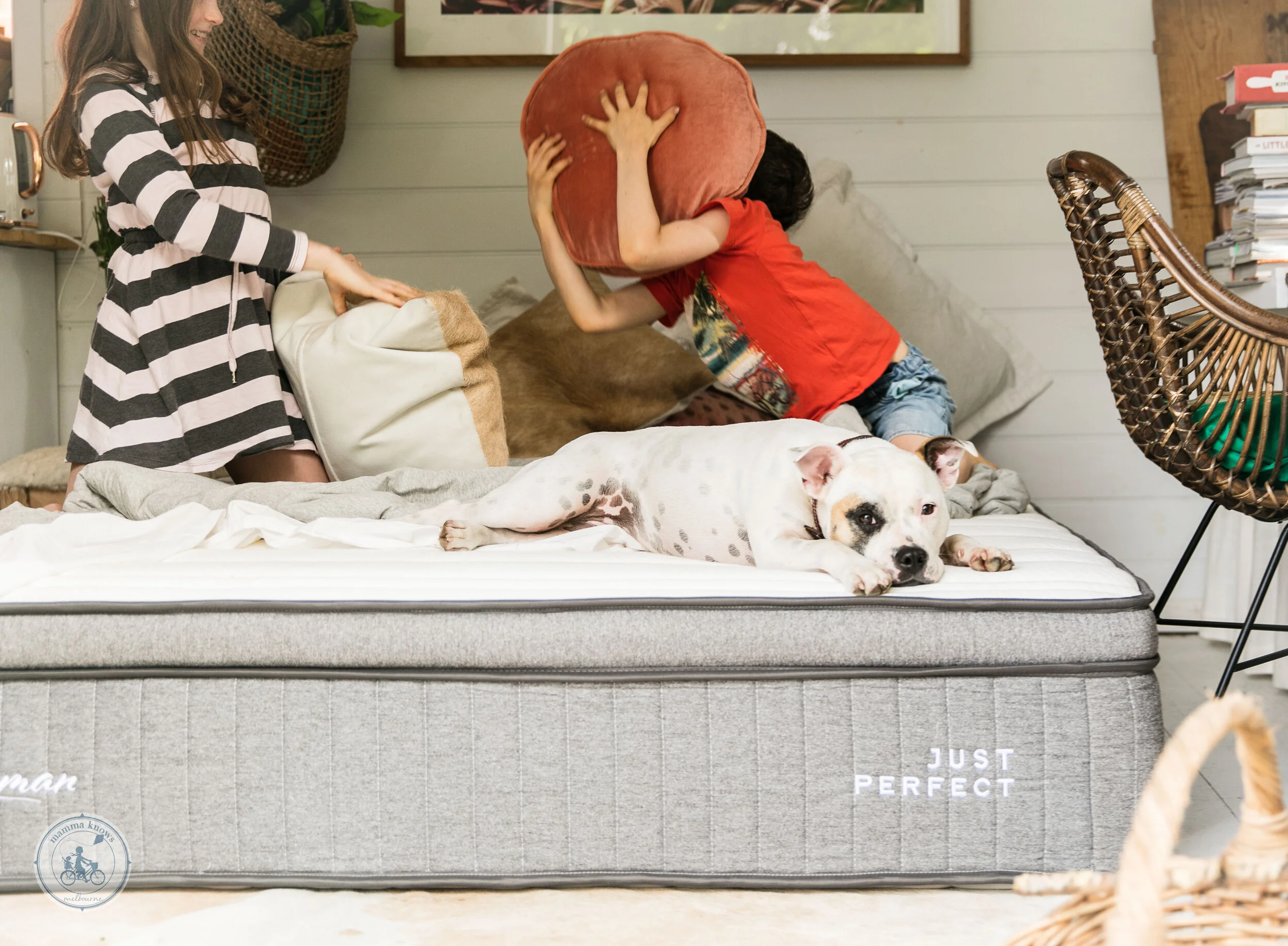 sherman mattresses