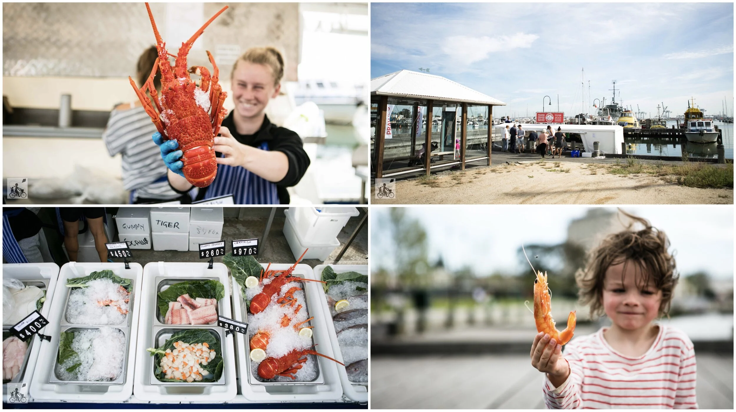 gem pier seafoods, gem pier williamstown