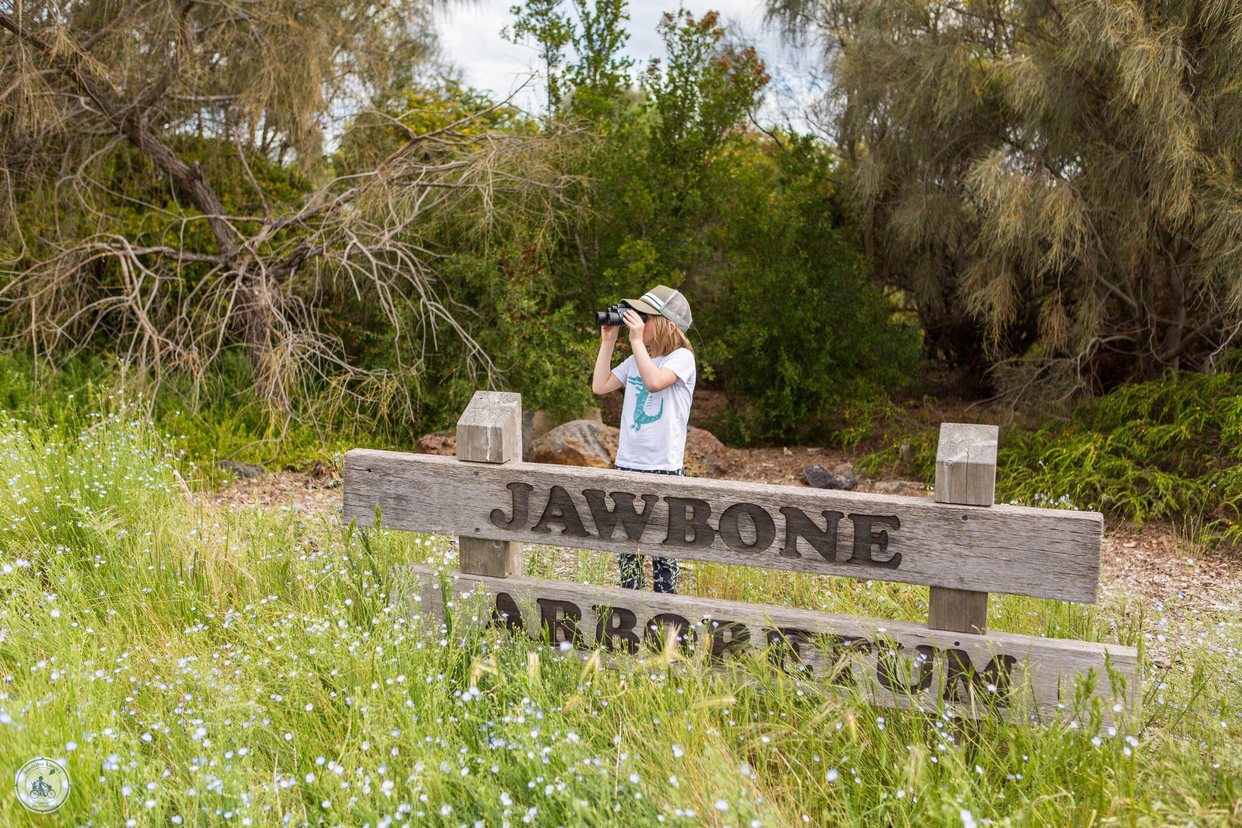 jawbone flora and fauna reserve, williamstown