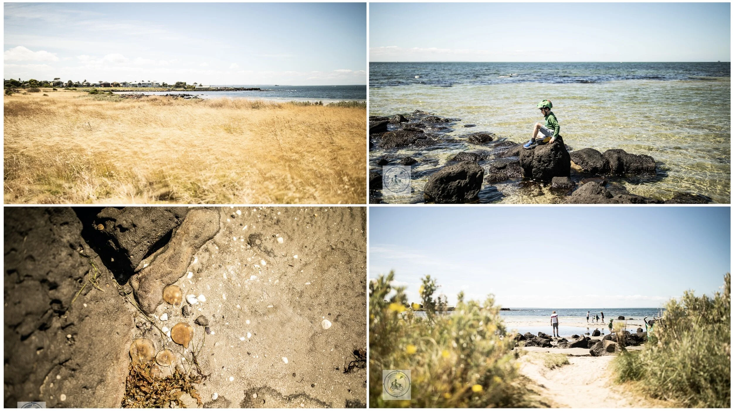 jawbone bay and marine sanctuary, williamstown