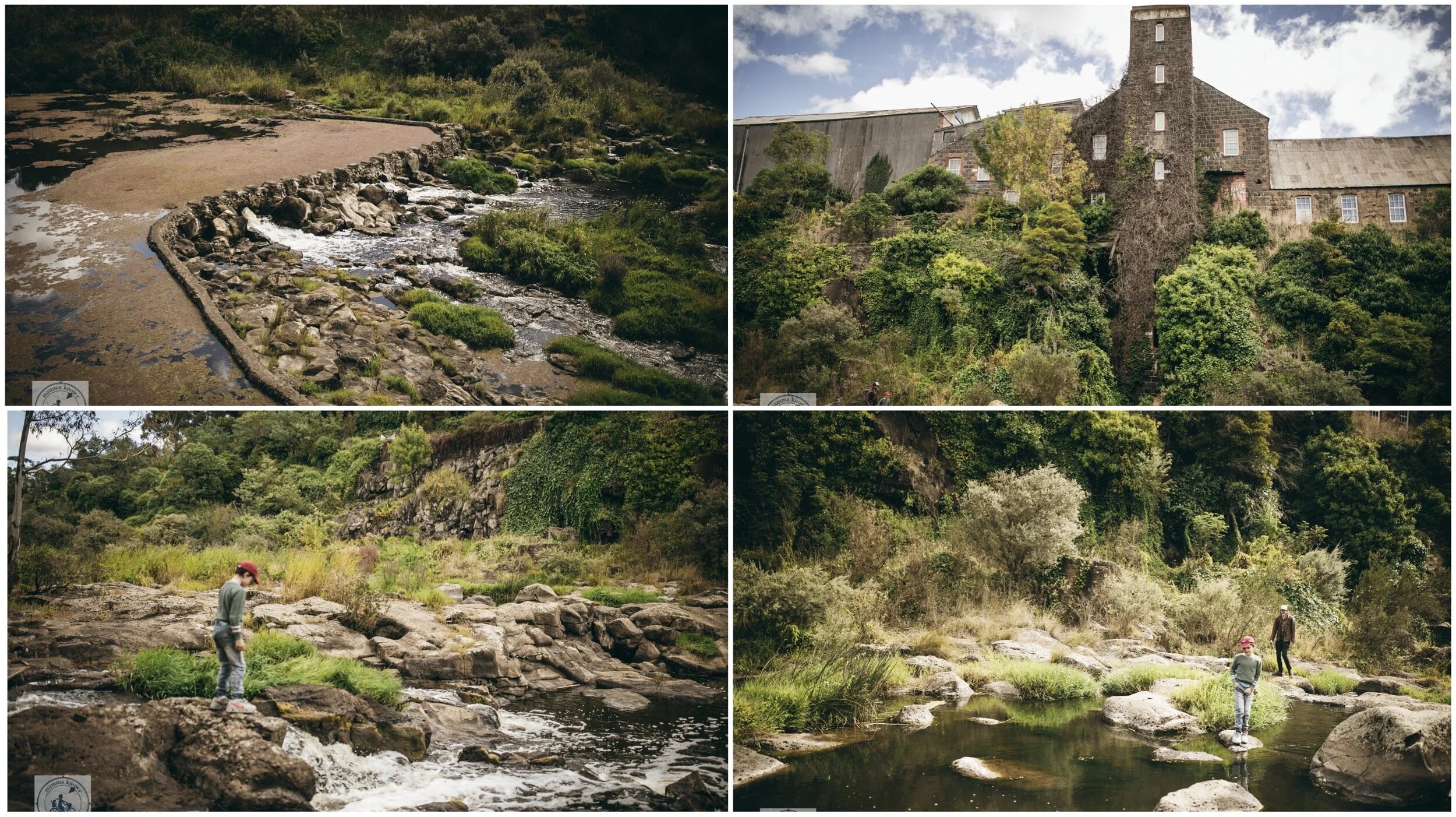 buckley falls, highton
