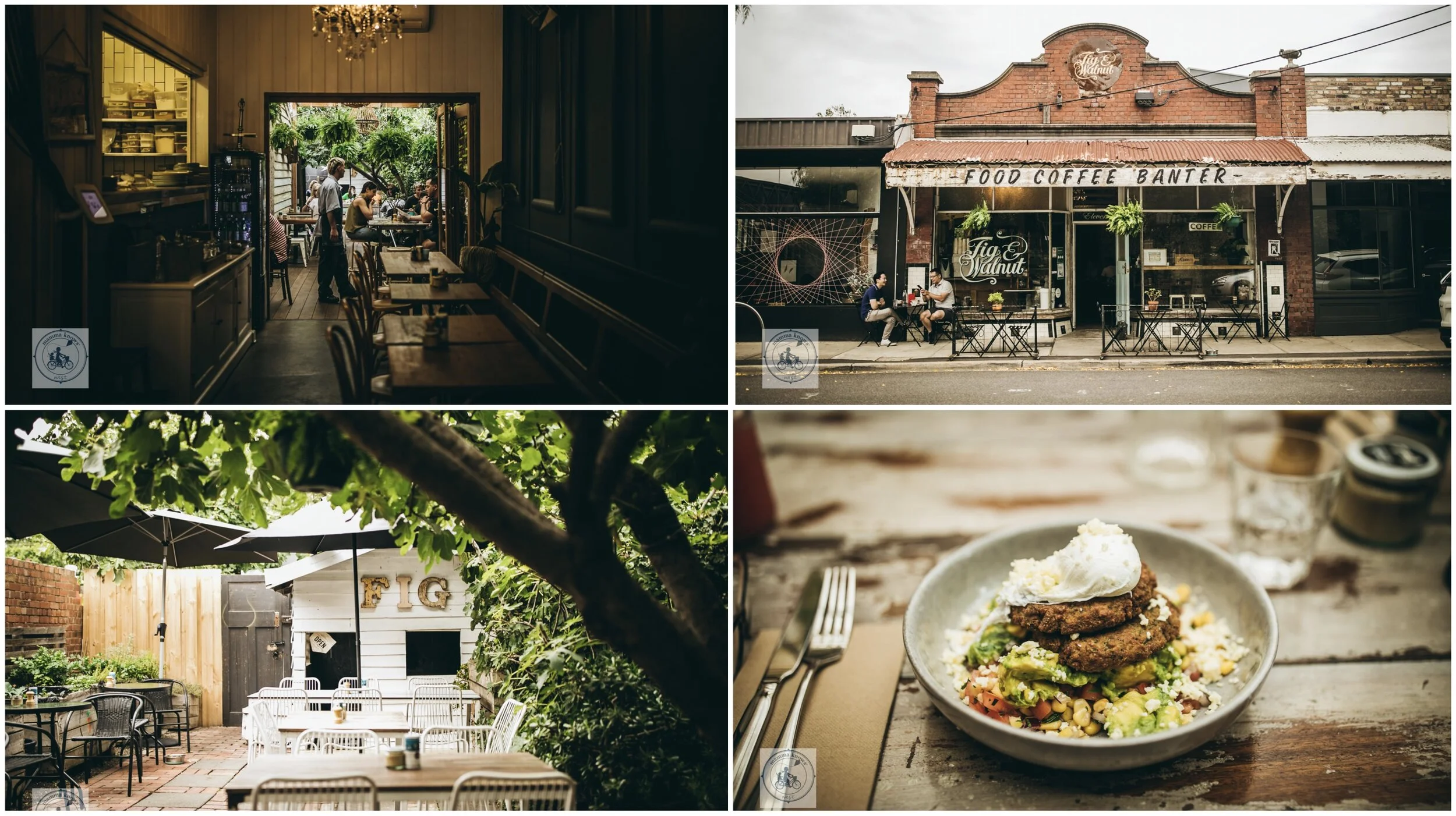 fig &amp; walnut, seddon