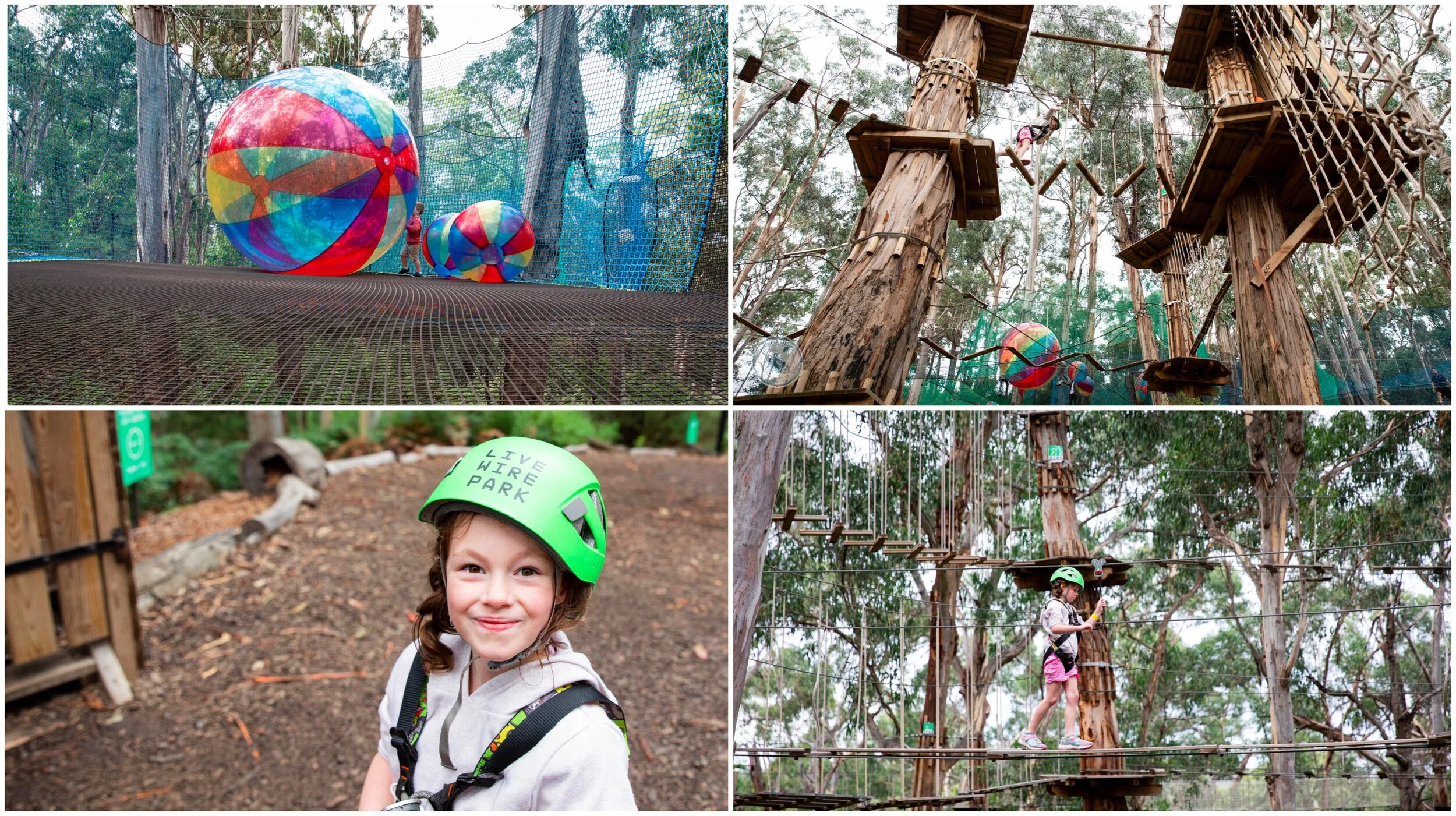 live wire park, lorne