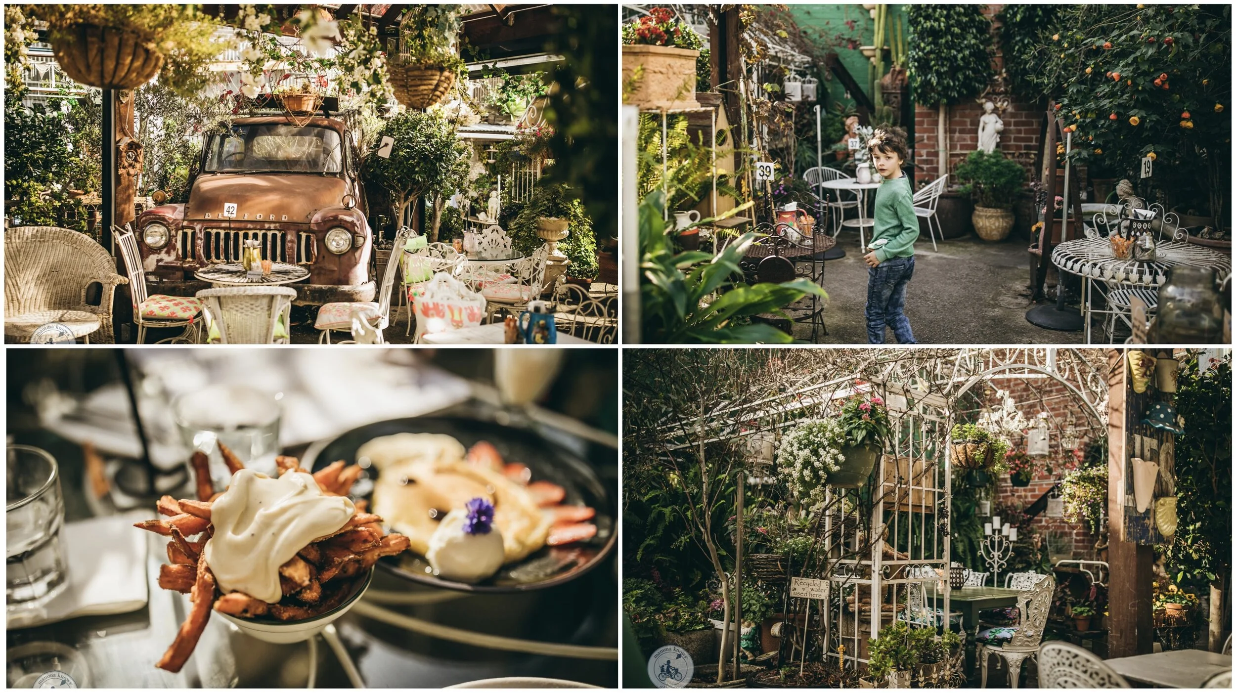 old man drew, ascot vale