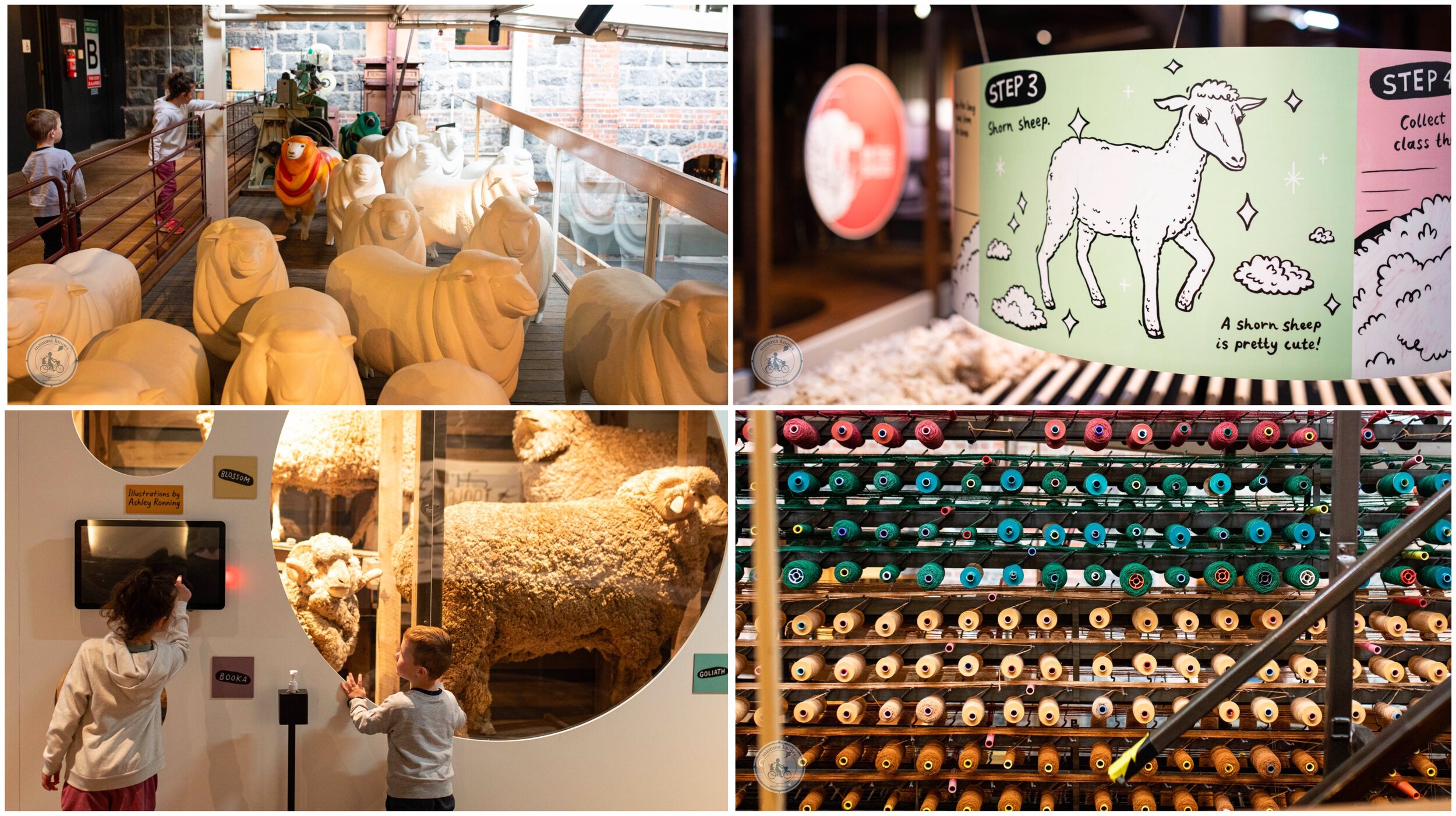 national wool museum, geelong