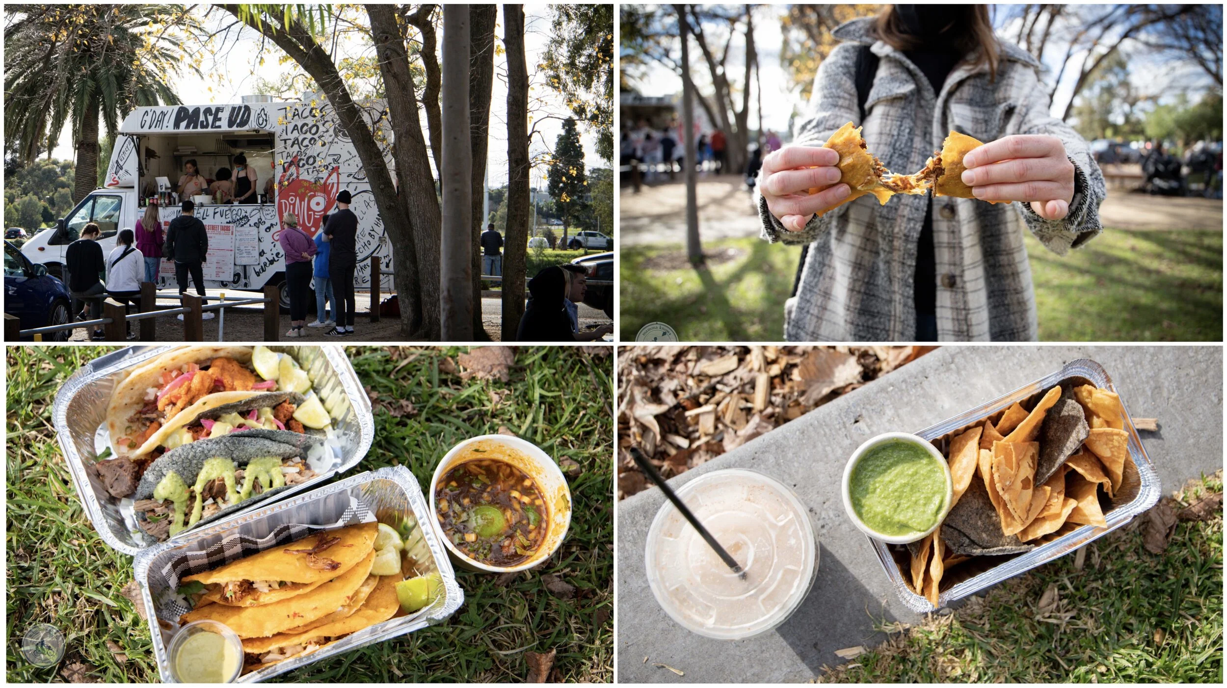 dingo ate my taco, maribyrnong