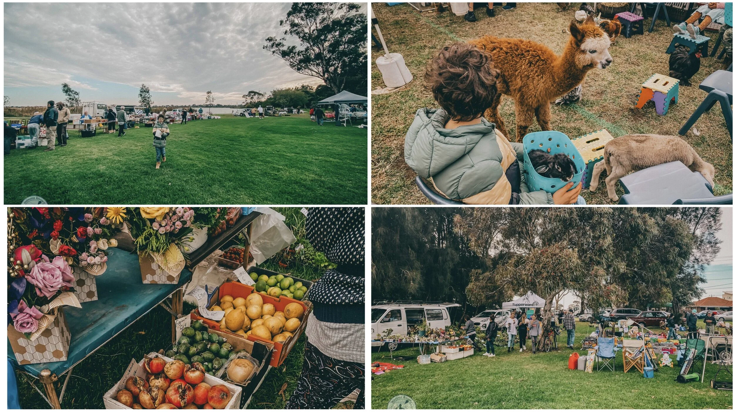 cherry lake lions club market, altona
