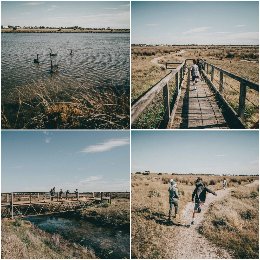 truganina swamp (truganina coastal parklands)