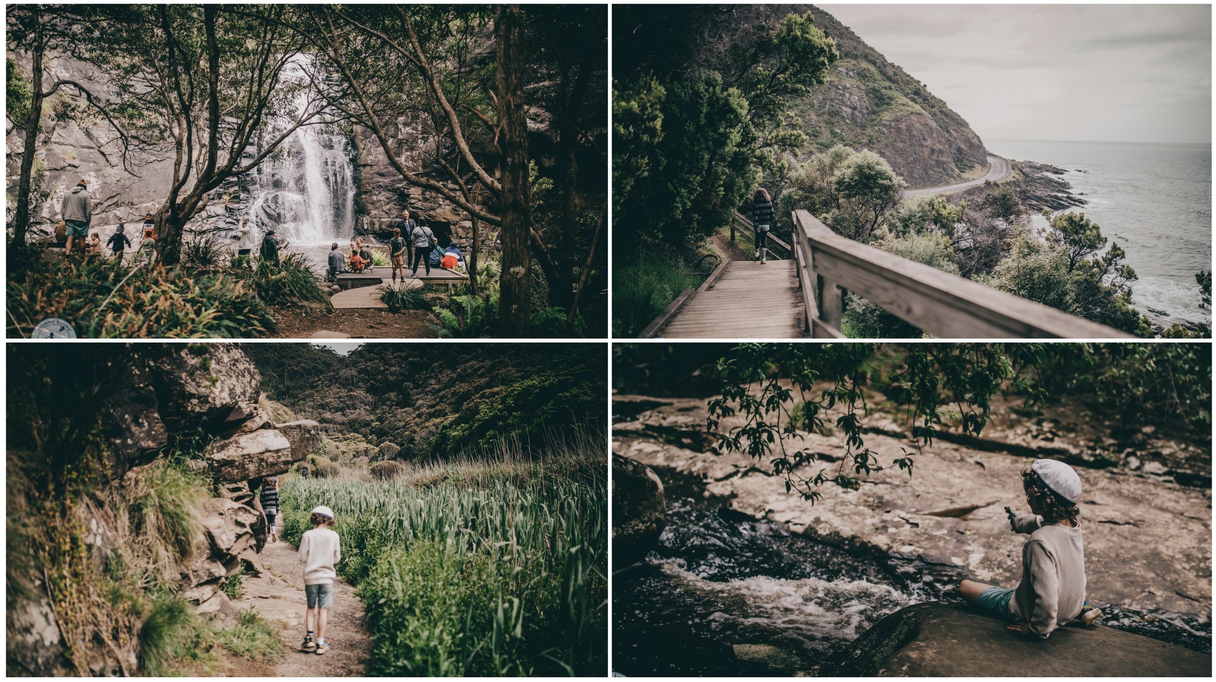 sheoak falls, lorne