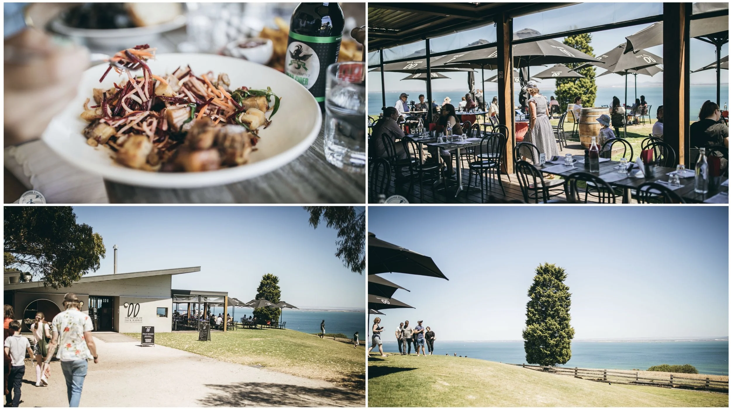 jack rabbit winery, bellarine peninsula