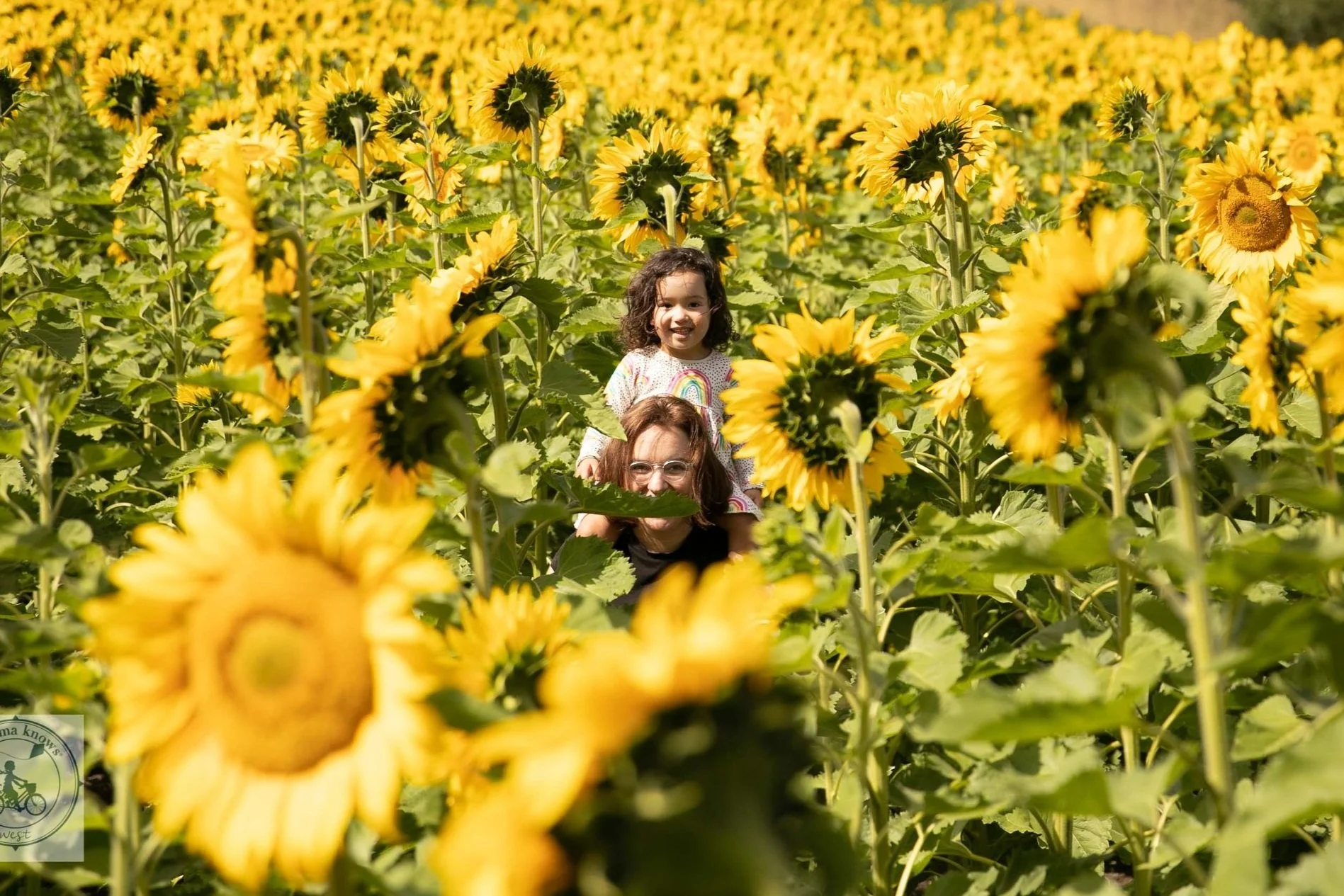 Melbourne's Sunflower Festival, Diggers Rest