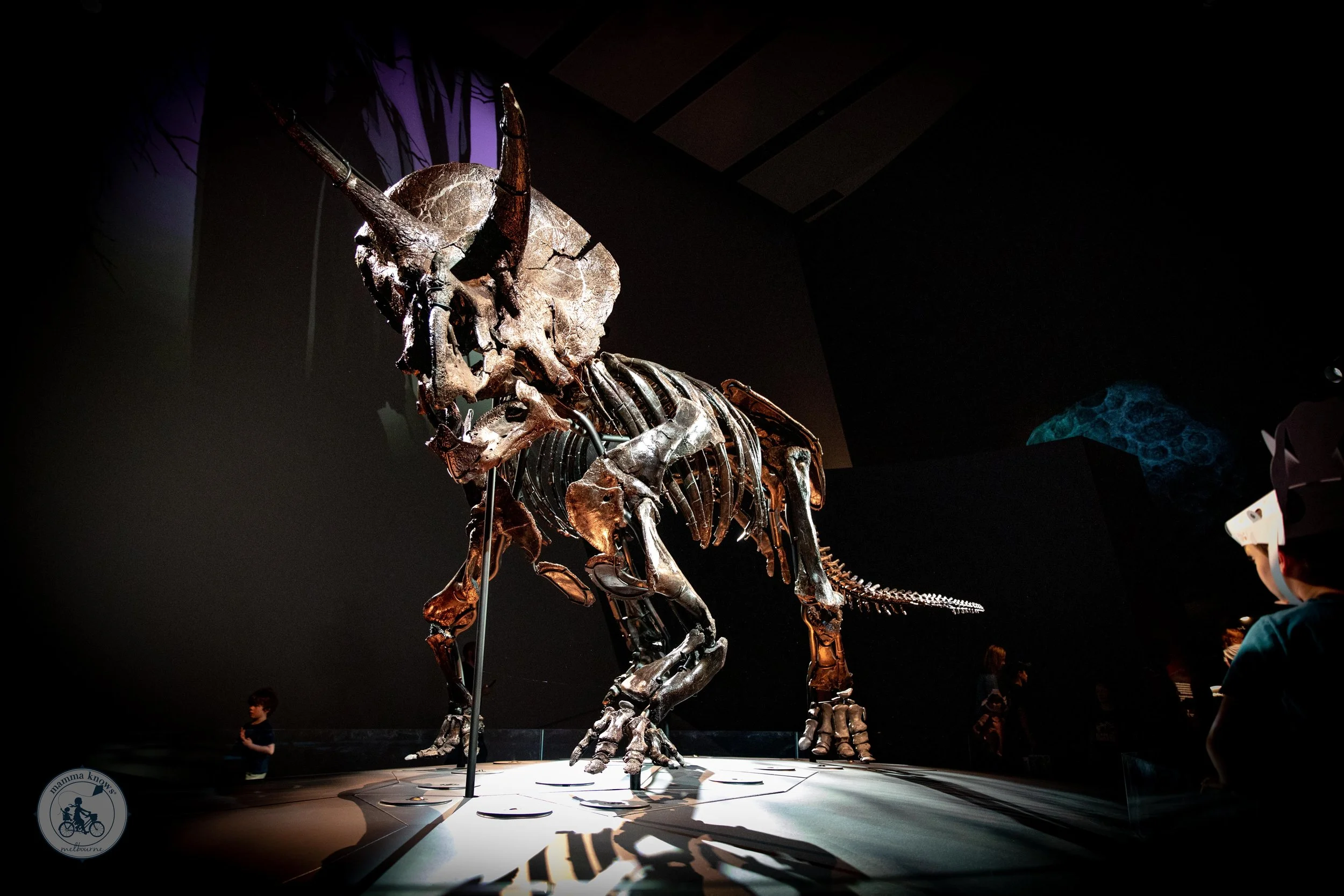 Copyright Mamma Knows Melbourne - Triceratops Fate of the Dinosaurs Melbourne Museum-25.jpg