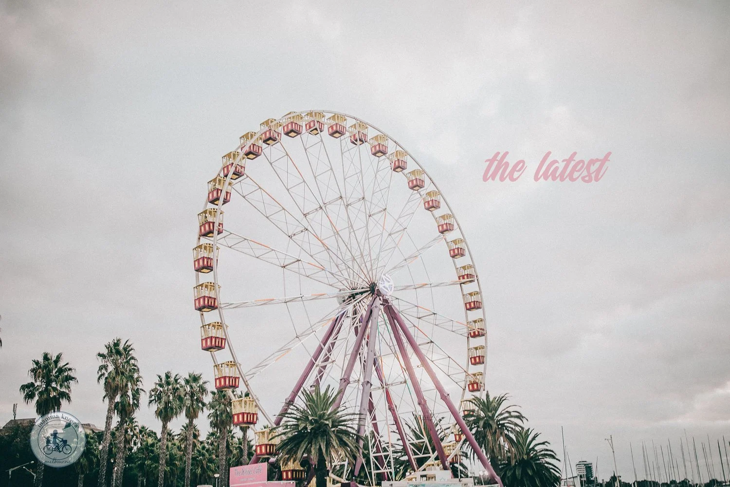 The Latest From Mamma (Copy)