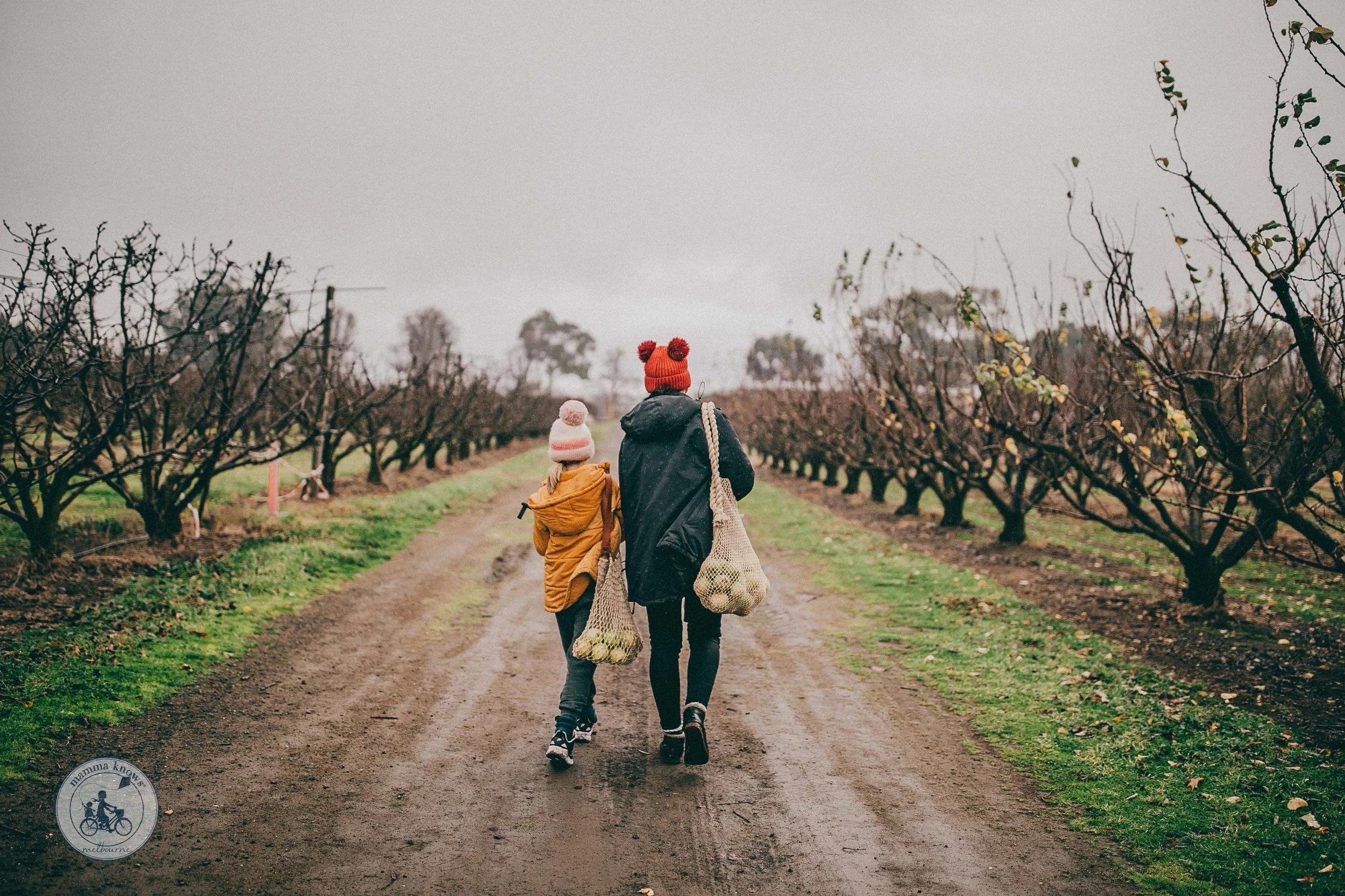 Paynes Orchards Fruit Picking, Bacchus Marsh Mamma Knows West