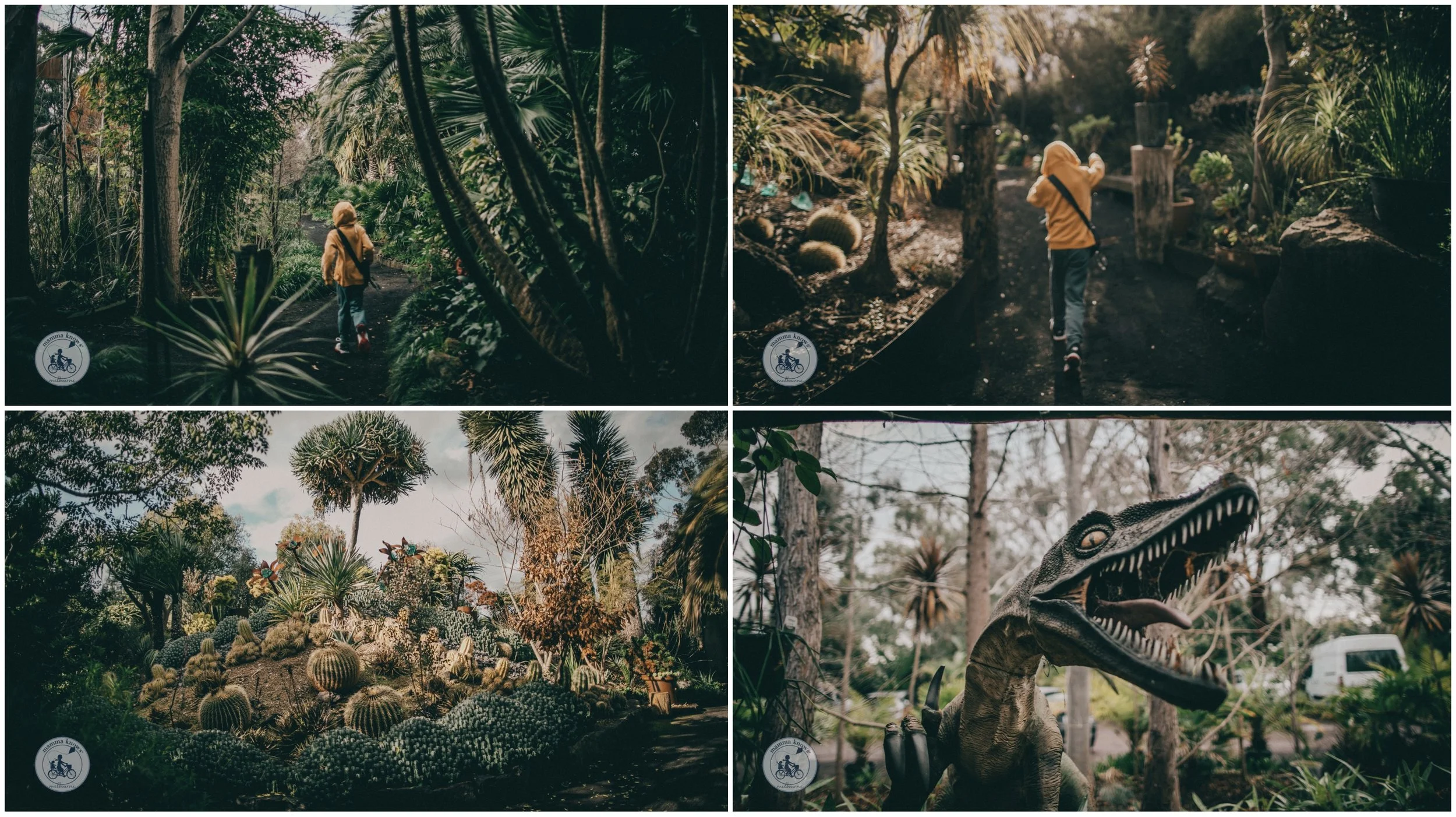 roraima nursery and gardens, lara