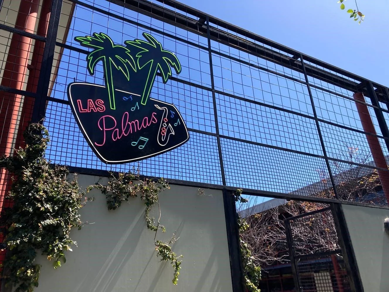 las palmas.jpg