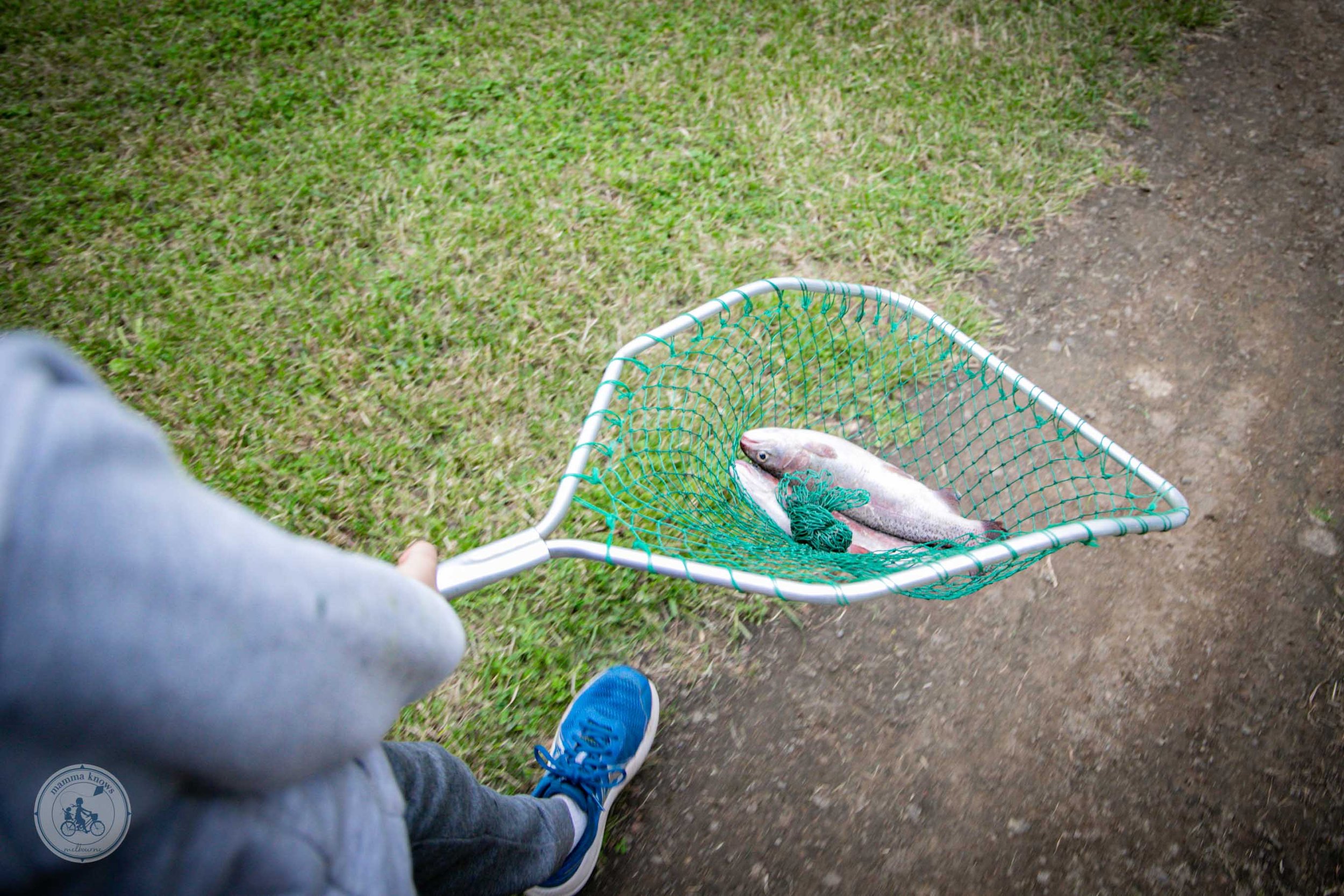 tuki trout farm and restaurant, ballarat - copyright 2022 mamma knows melbourne-27.jpg