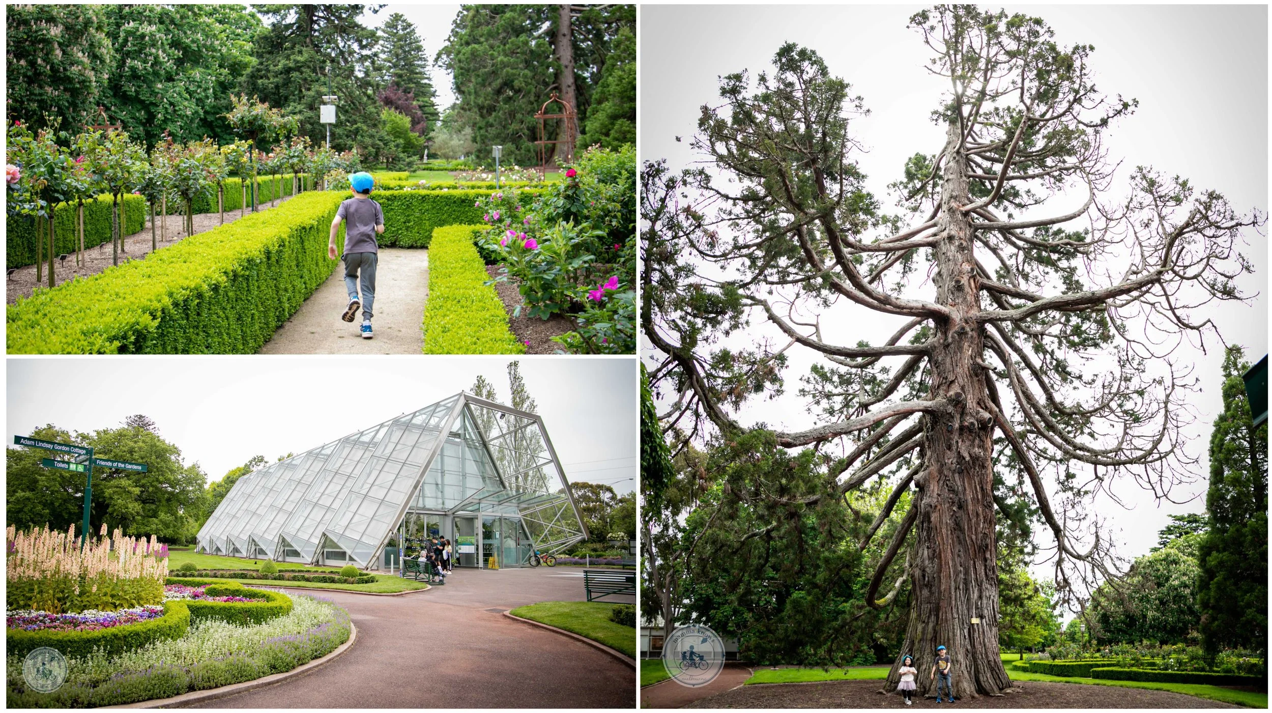 ballarat botanic gardens, ballarat
