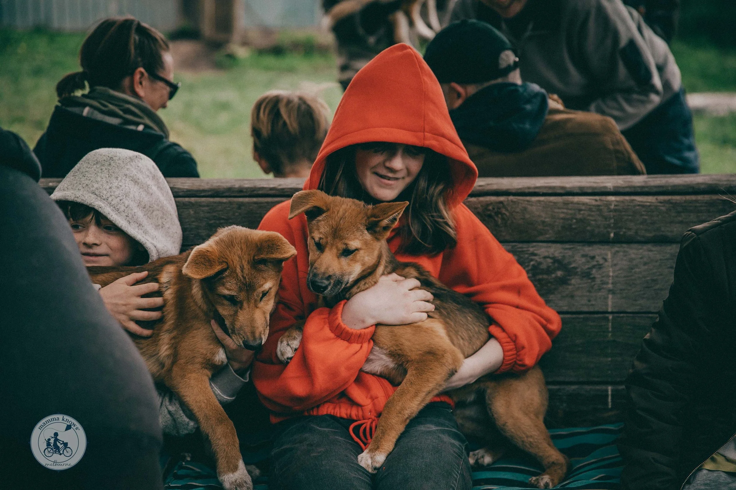 Dingo Discovery 2022 (66 of 128).jpg