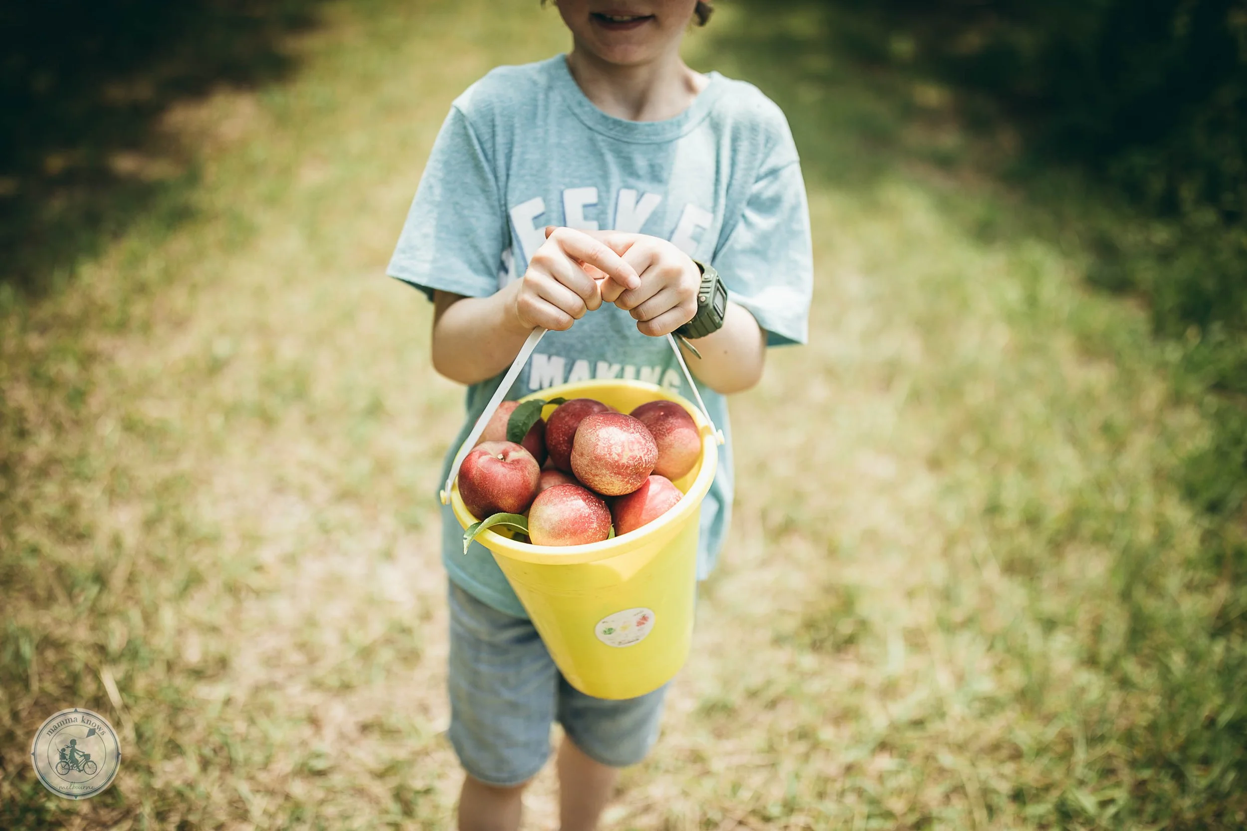Paynes Stone Fruits Jan 2020 Mamma Knows West (23 of 33).jpg