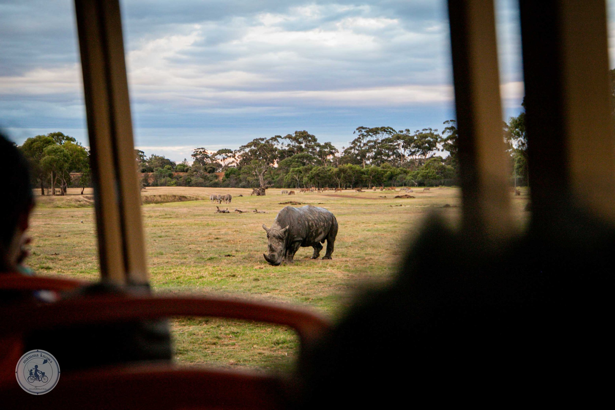 4. Sunset Safari, Werribee Zoo