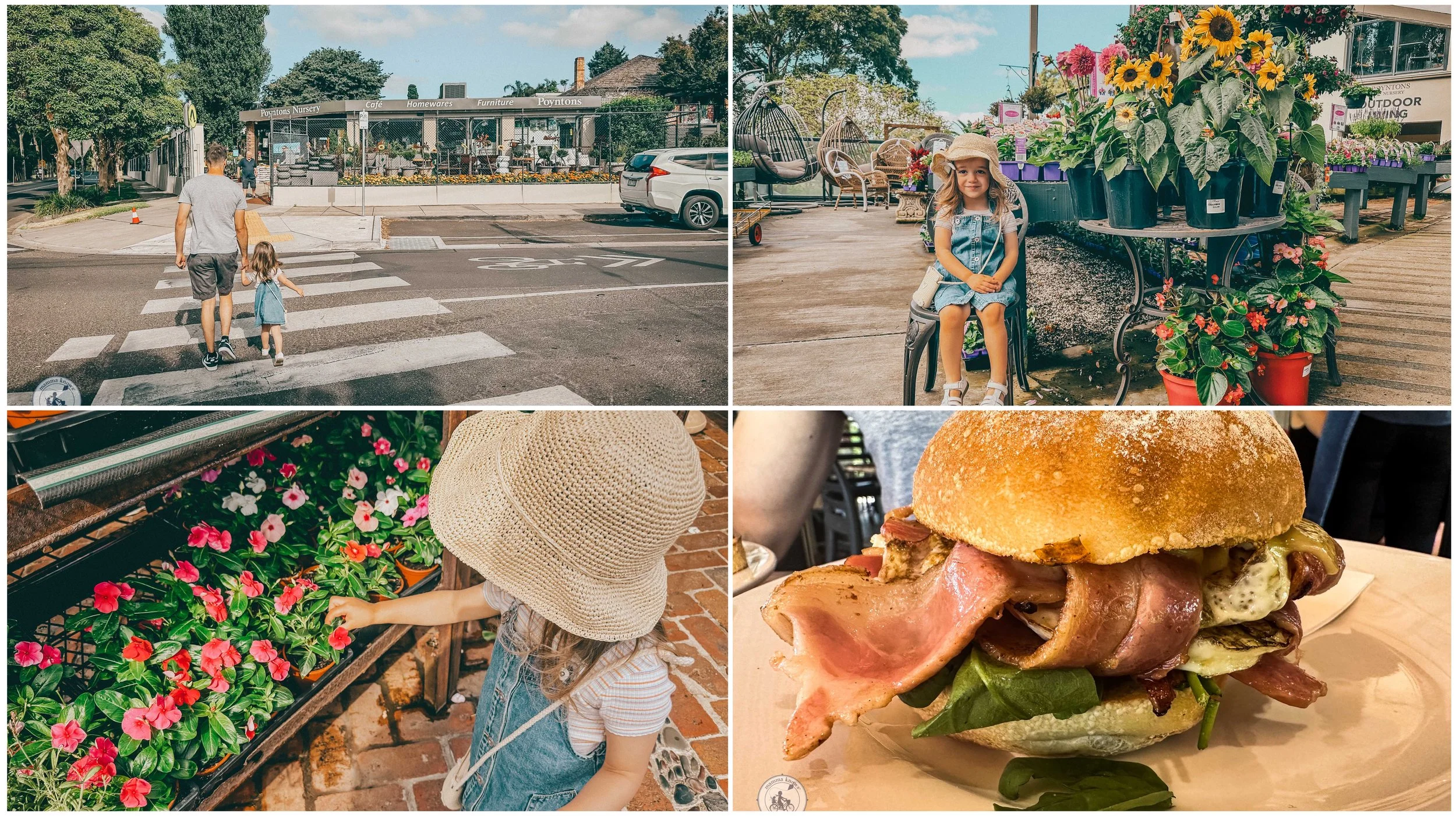 poyntons nursery and cafe, essendon