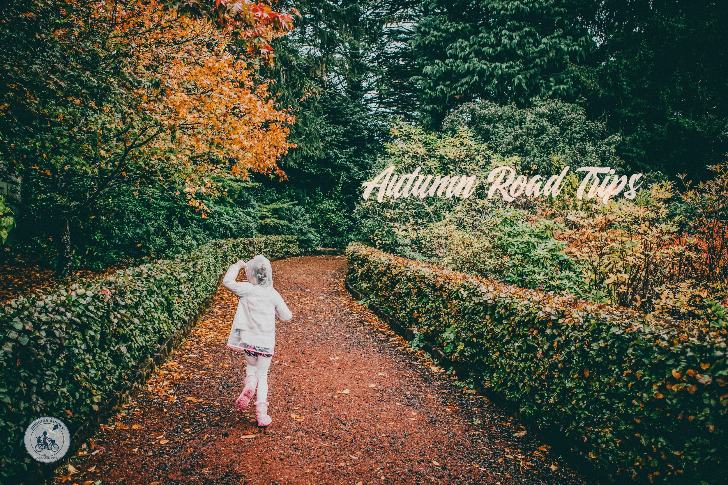 Autumn Road Trips (Copy)