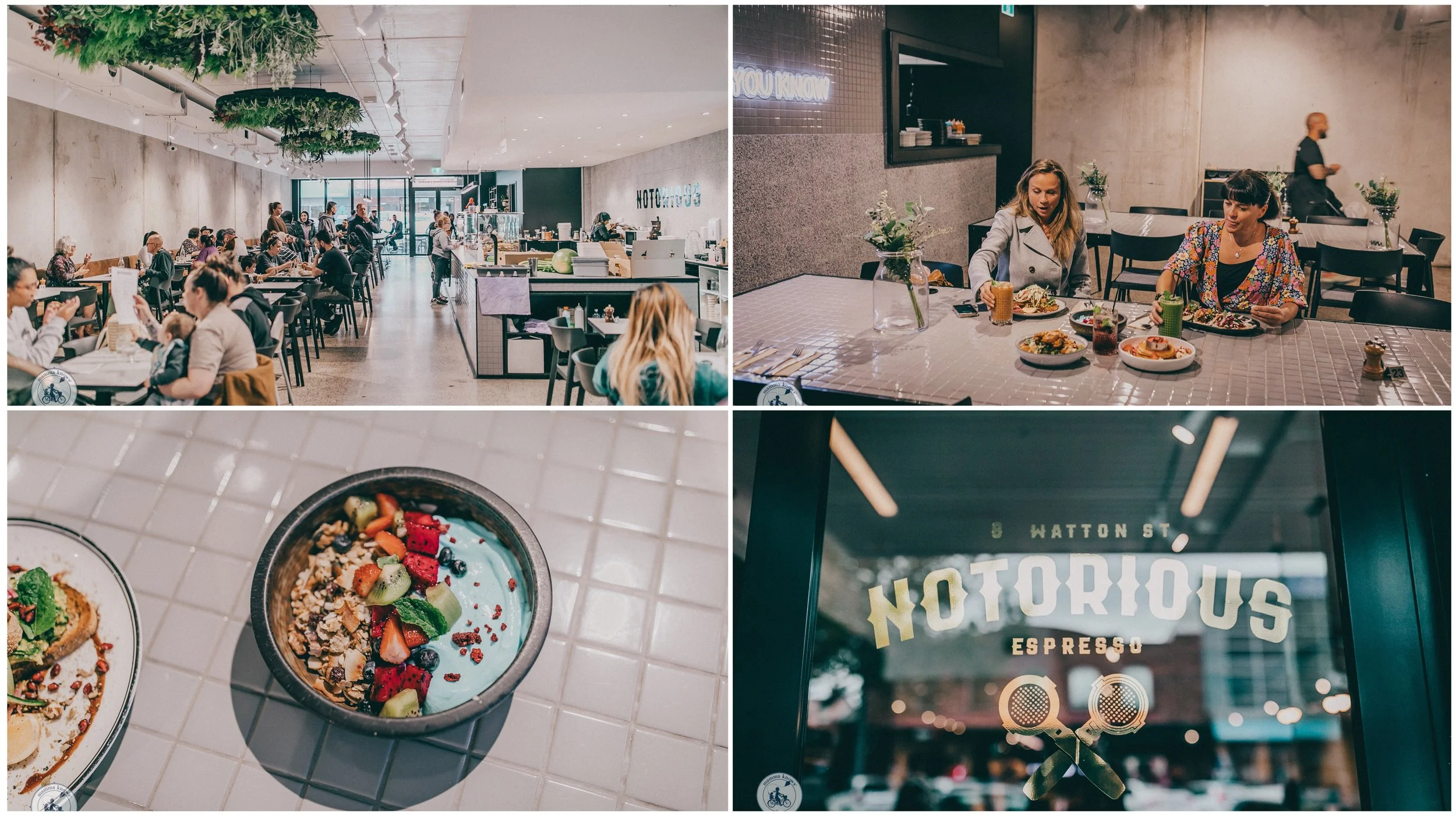 notorious espresso, werribee