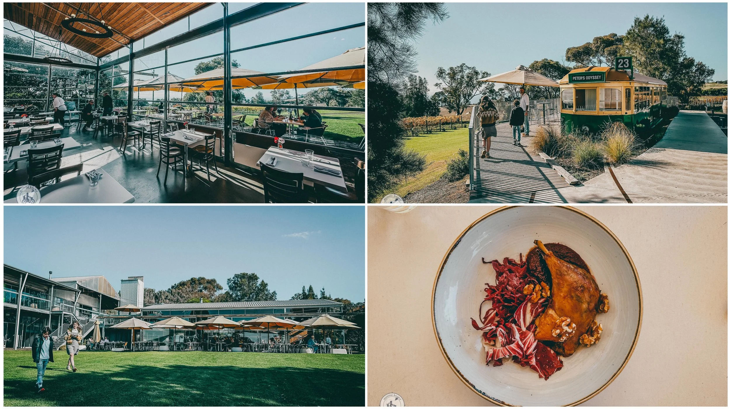 terindah estate winery, bellarine peninsula  