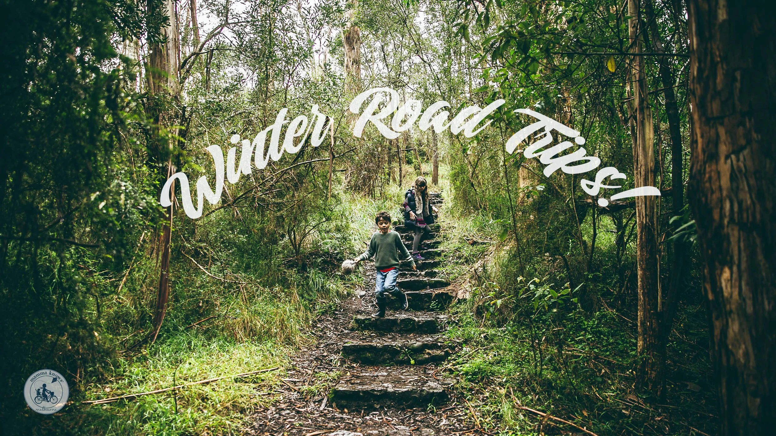 THE BEST  winter road trips IN THE WEST