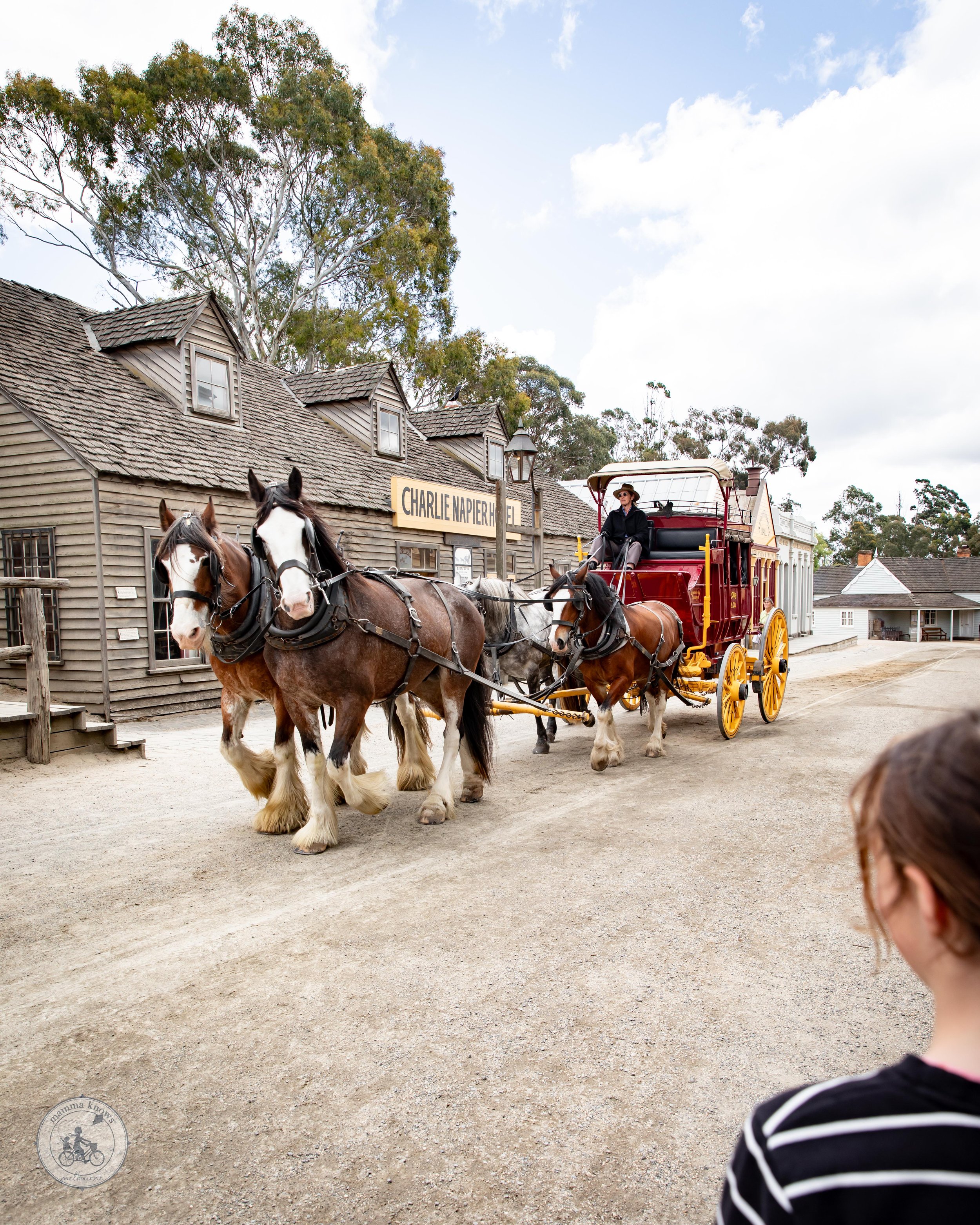 Copyright Mamma Knows West - Sovereign Hill, Ballarat Erin 2023-7772.jpg