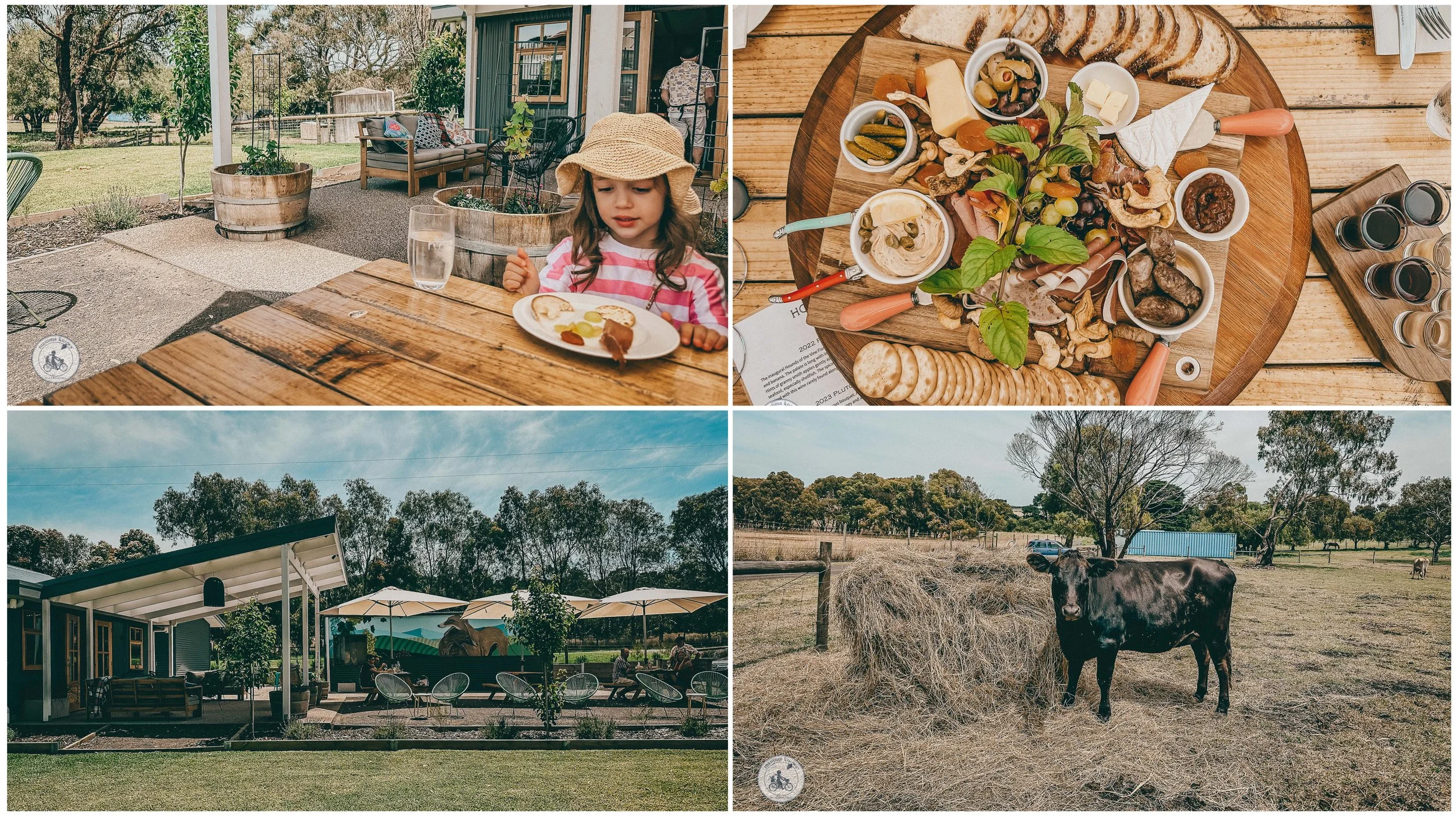 hounds of the vine, bellarine